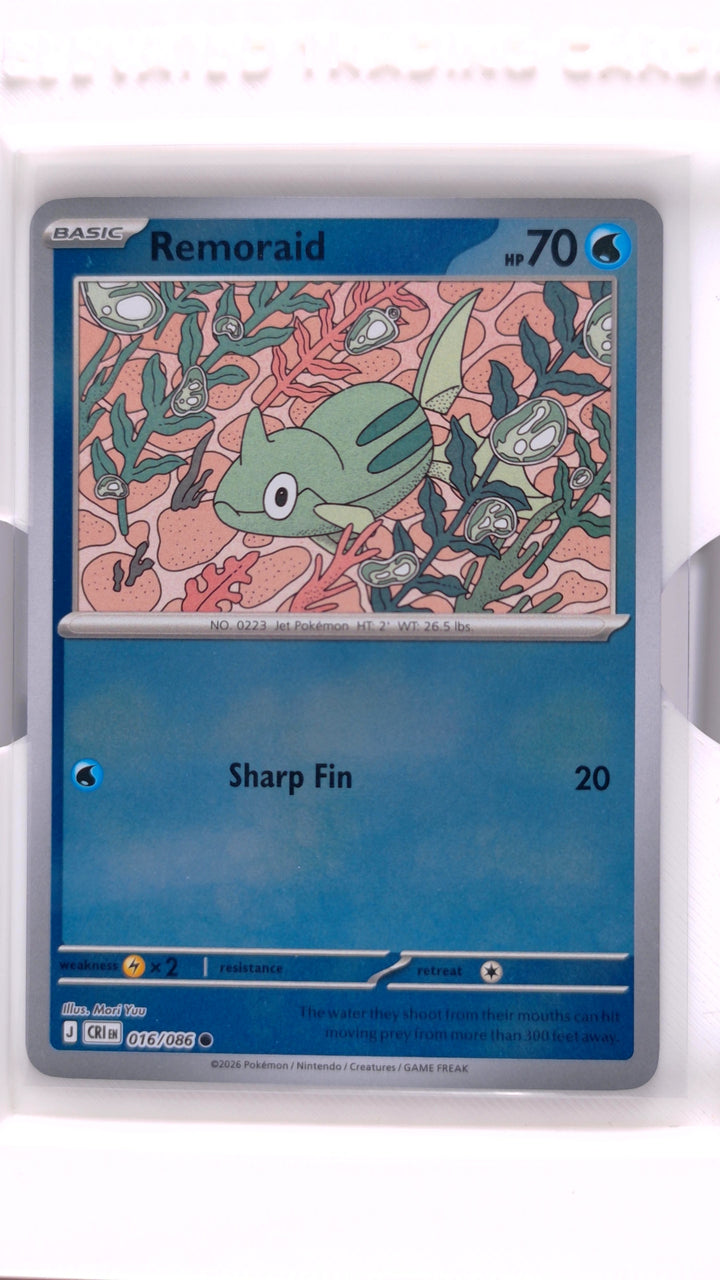 Pokémon: Mega Evolution — Chaos Rising Remoraid #016/086 Common Reverse Holo — Front