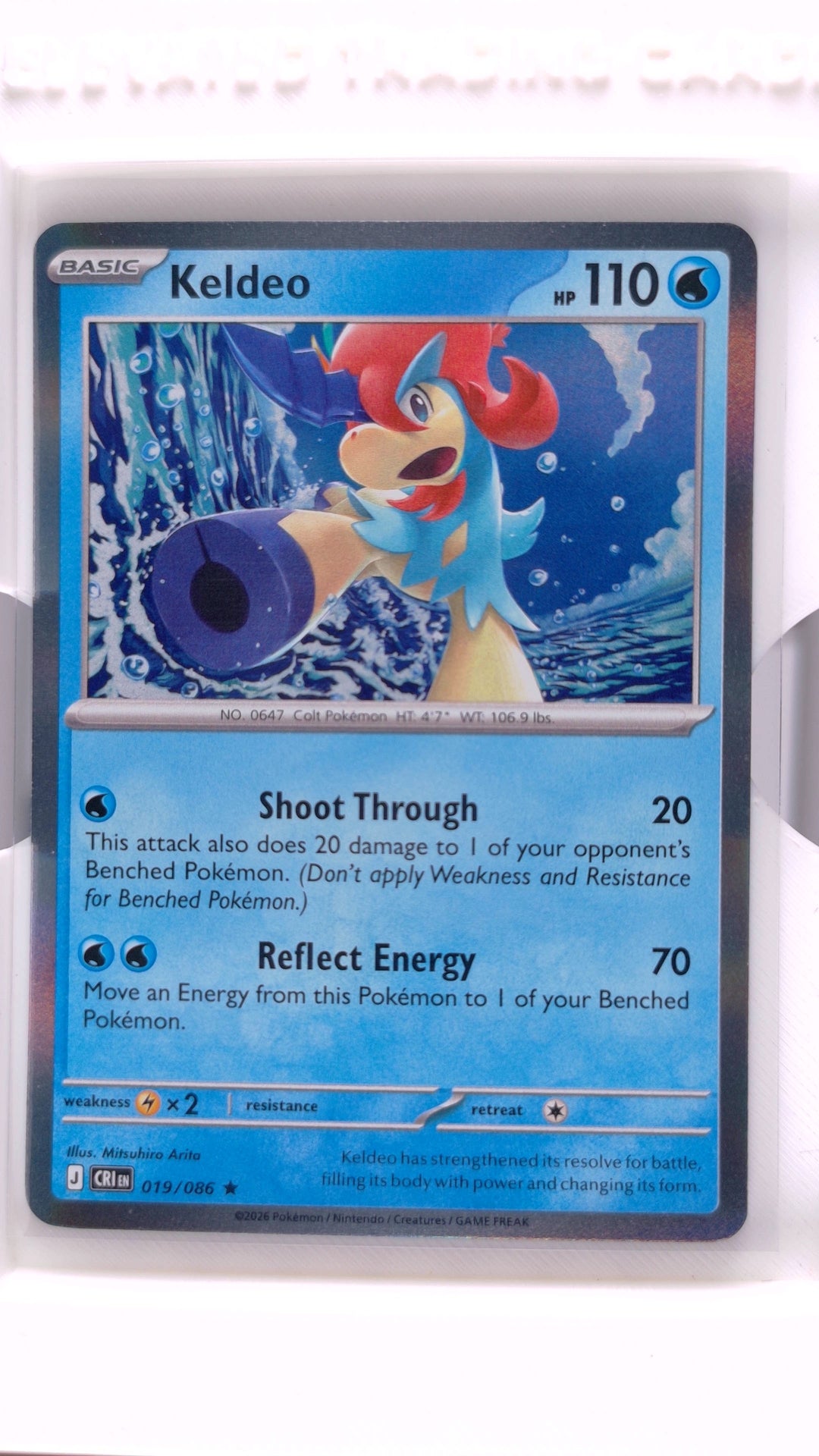 #19 Keldeo Holo Rare - front
