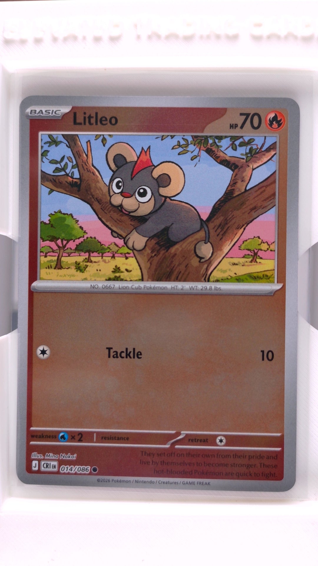 #14 Litleo Reverse Holo Common - front