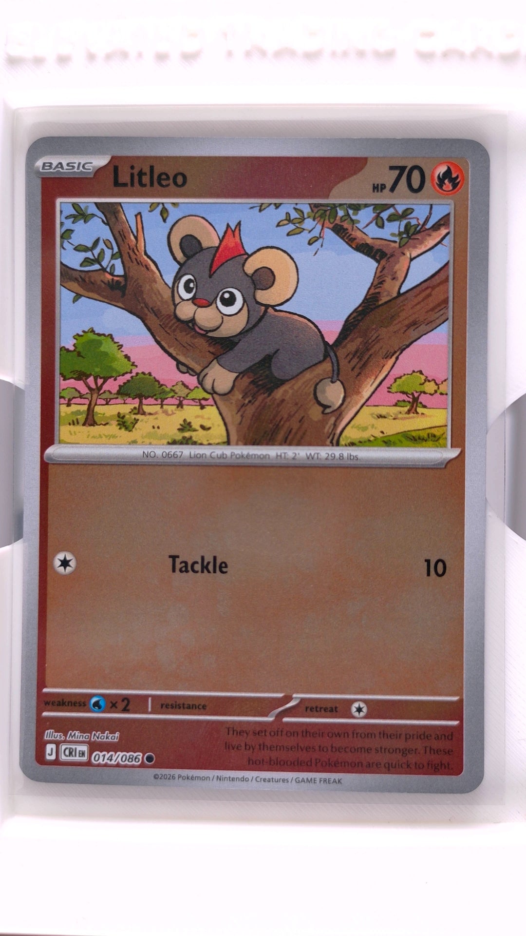 #14 Litleo Reverse Holo Common - front