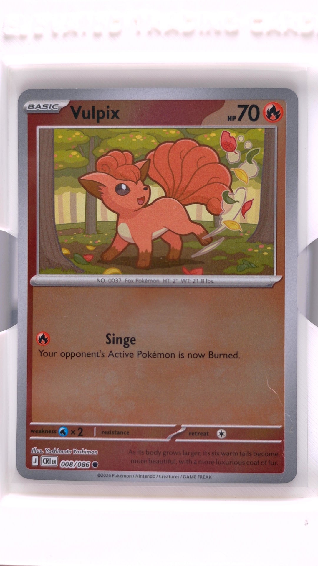 #8 Vulpix Reverse Holo Common - front