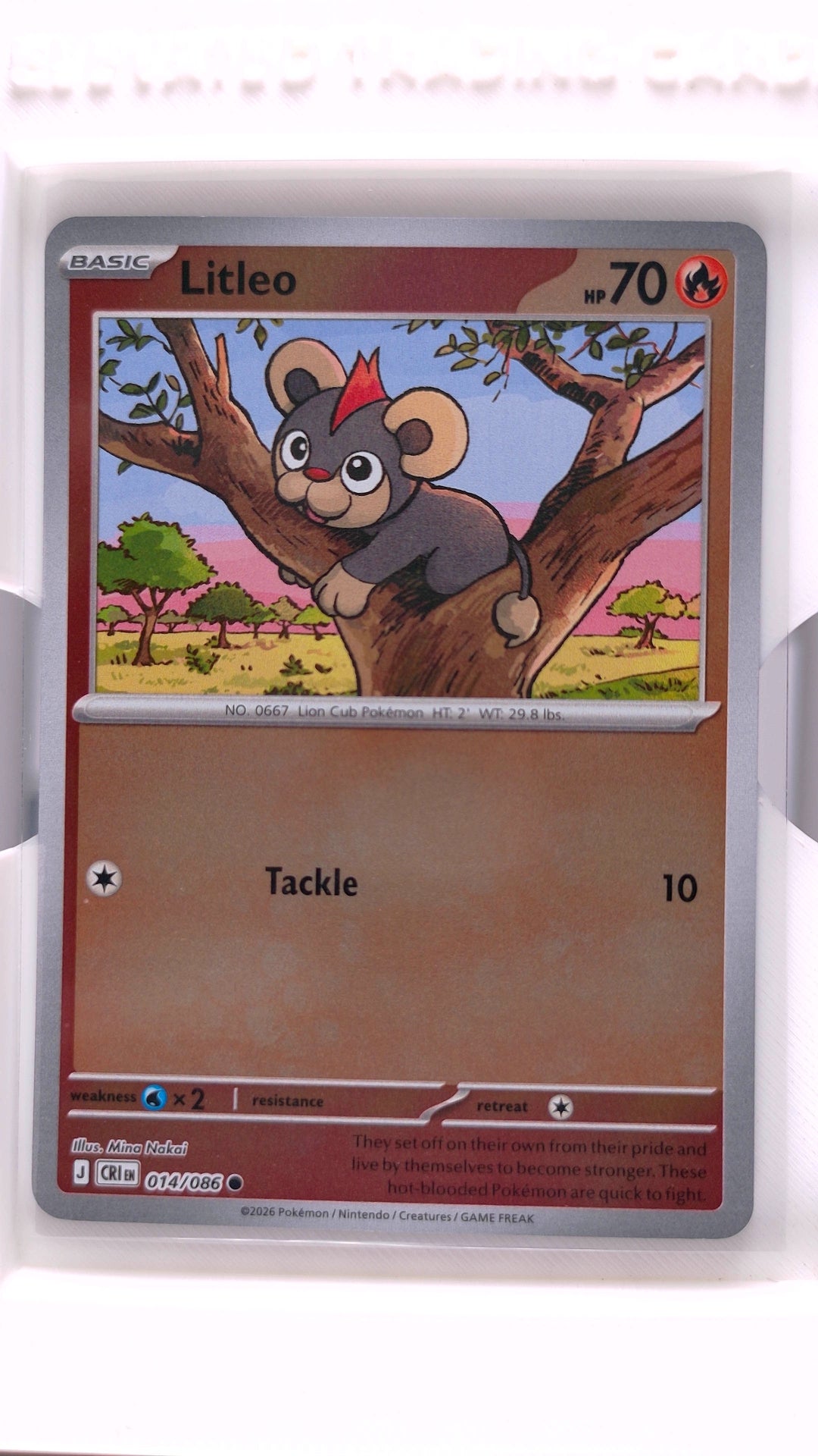 #14 Litleo Reverse Holo Common - front