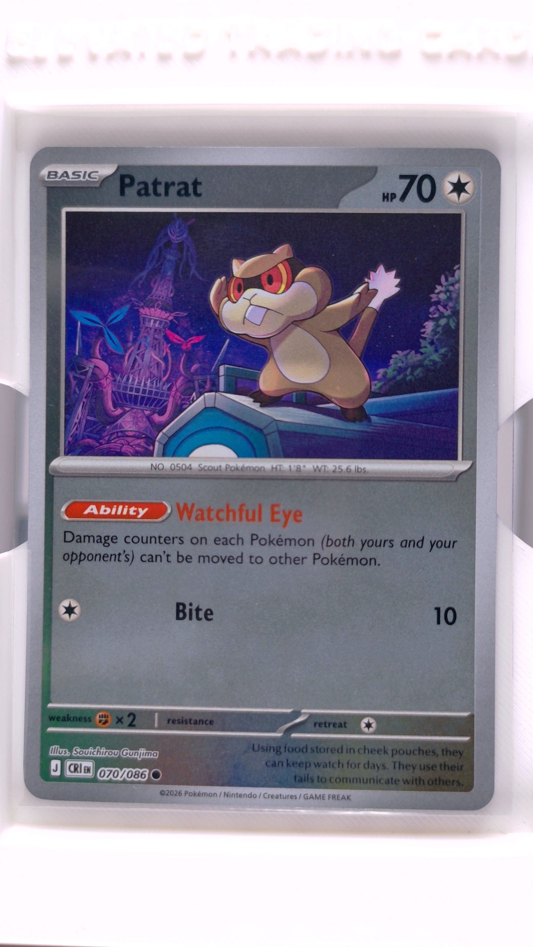 #70 Patrat Reverse Holo Common - front