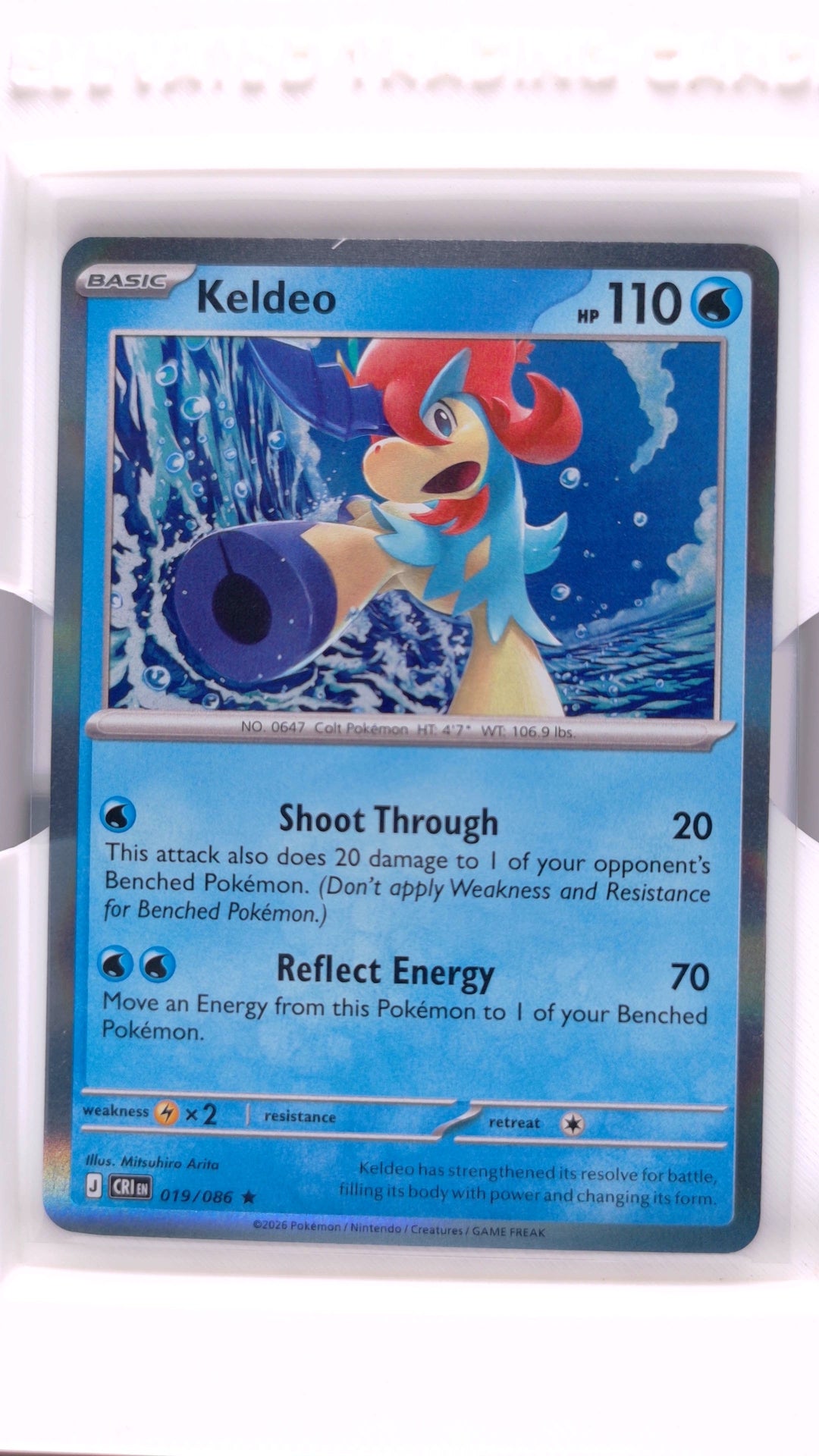 #19 Keldeo Holo Rare - front