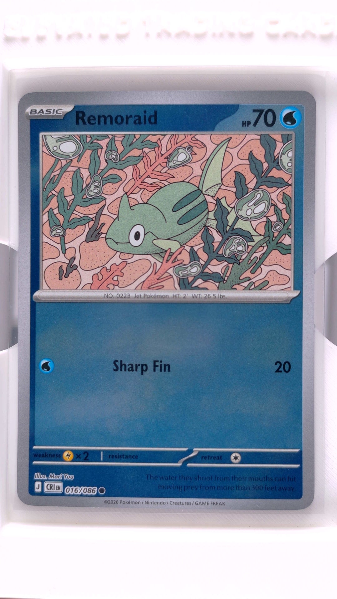 #16 Remoraid Reverse Holo Common - front
