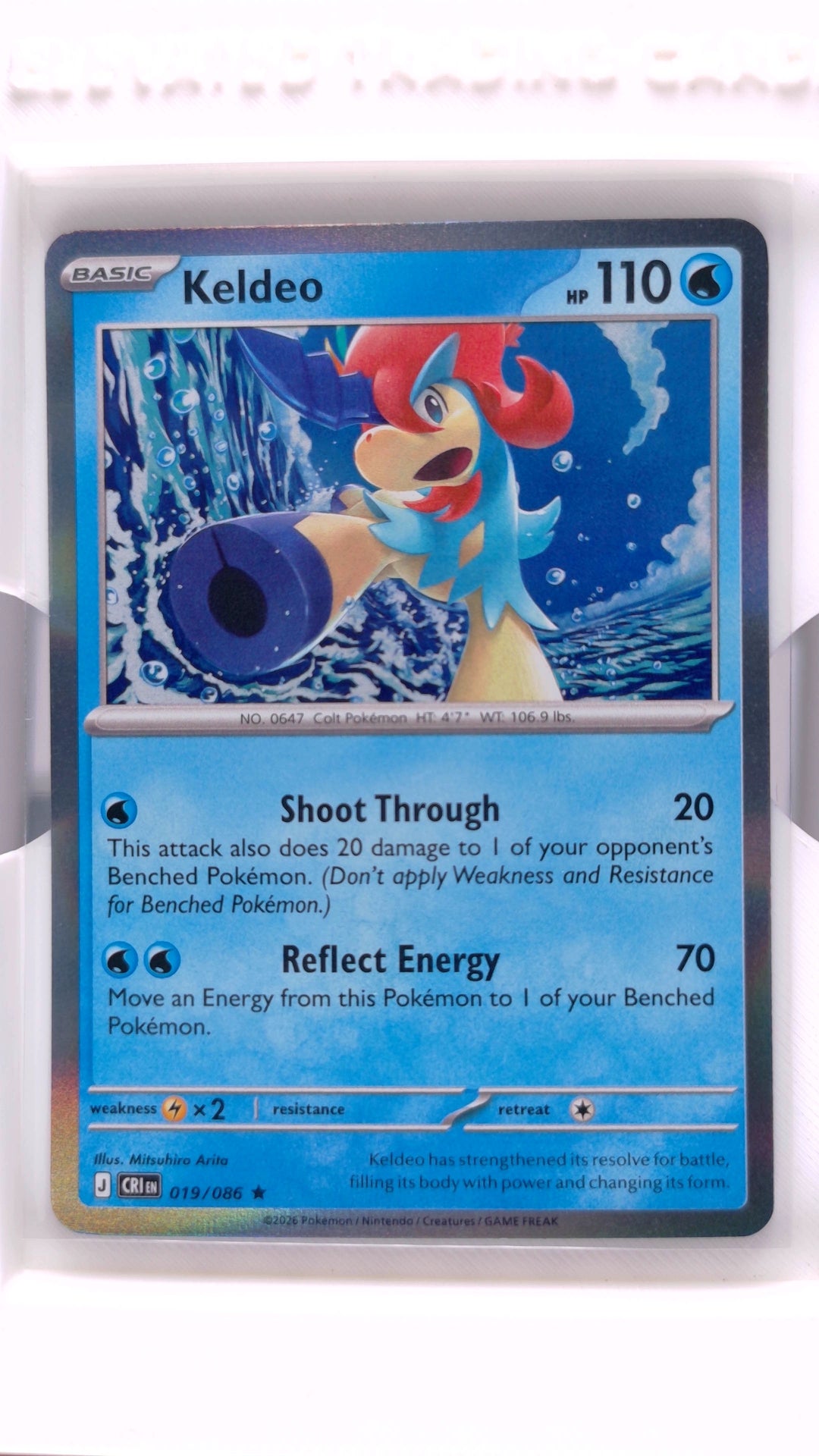 #19 Keldeo Holo Rare - front