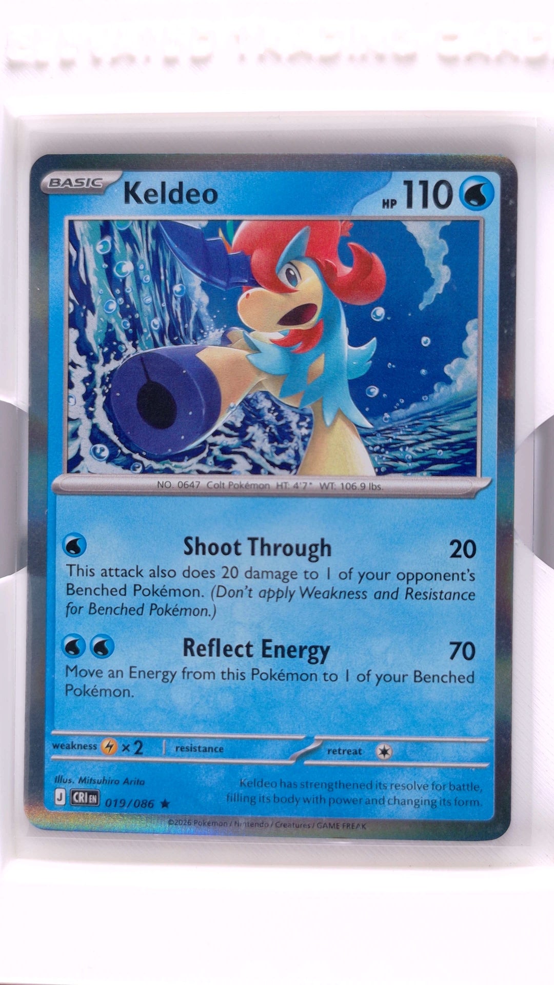 #19 Keldeo Holo Rare - front