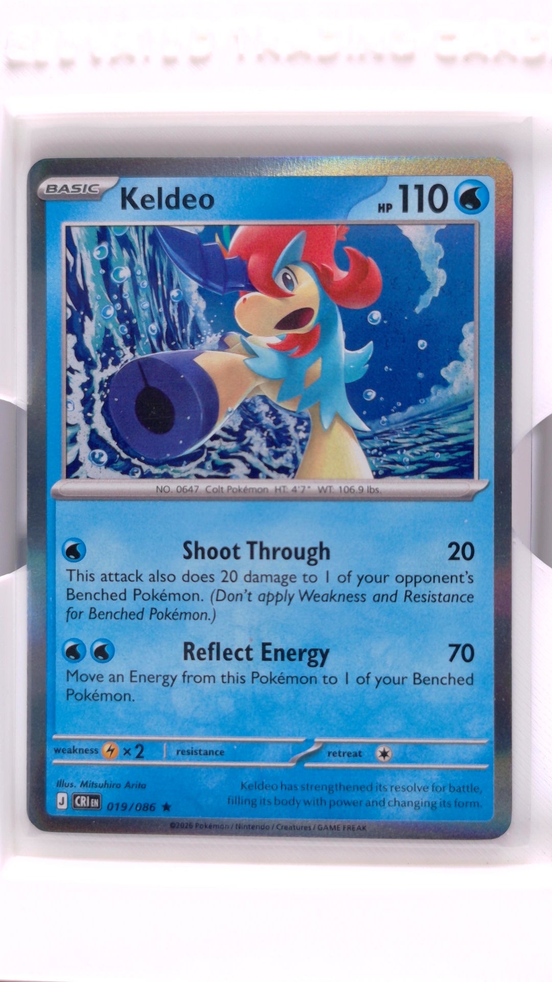 #19 Keldeo Holo Rare - front