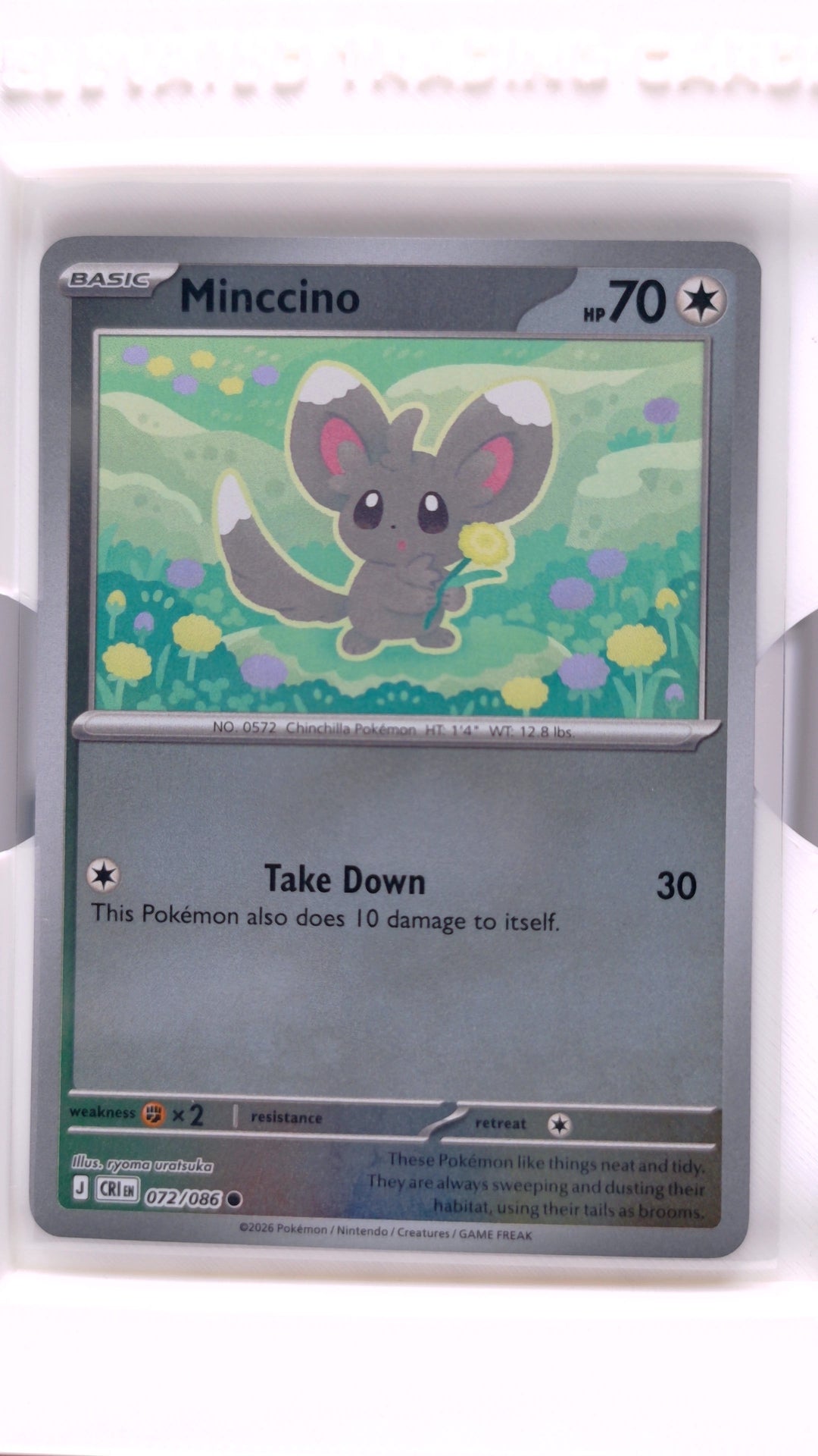#72 Minccino Reverse Holo Common - front