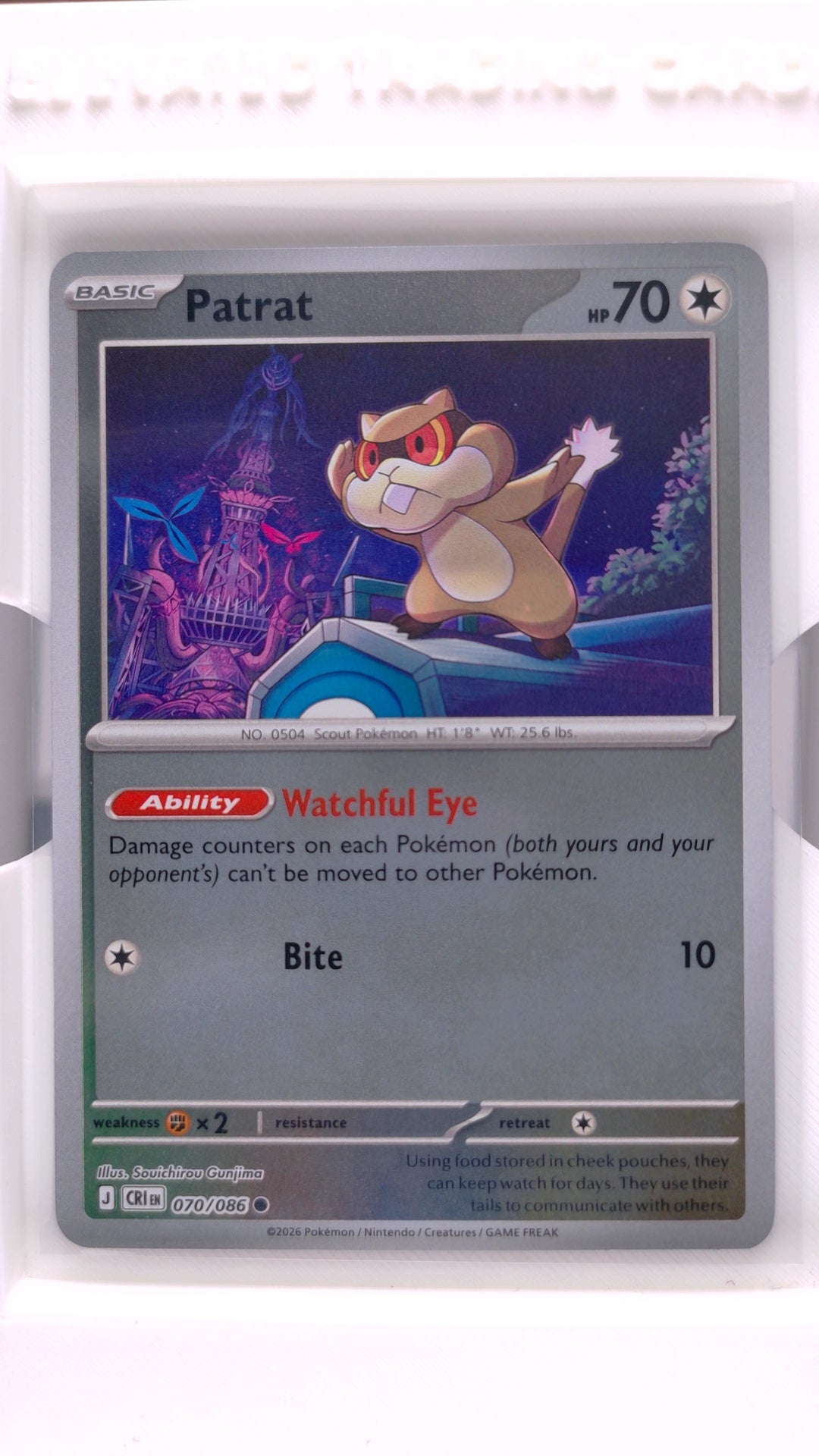 #70 Patrat Reverse Holo Common - front