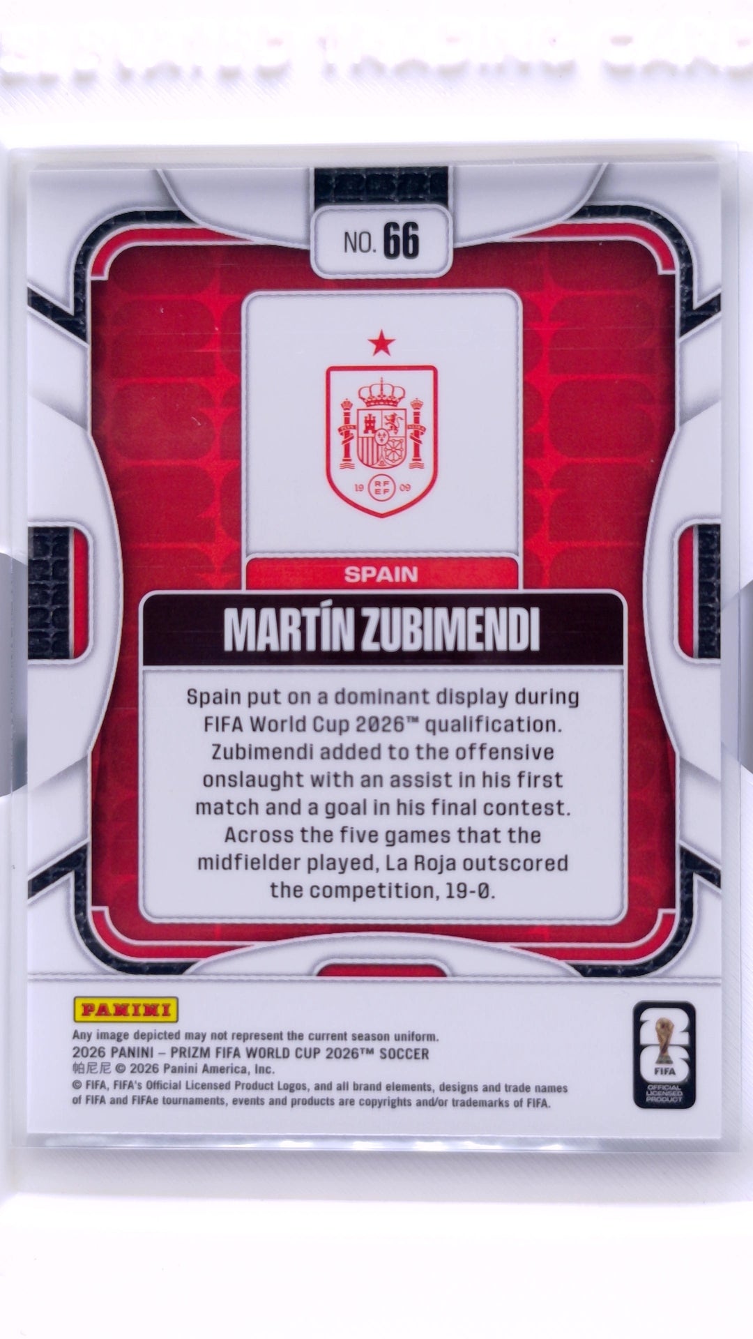 #66 Martin Zubimendi - back