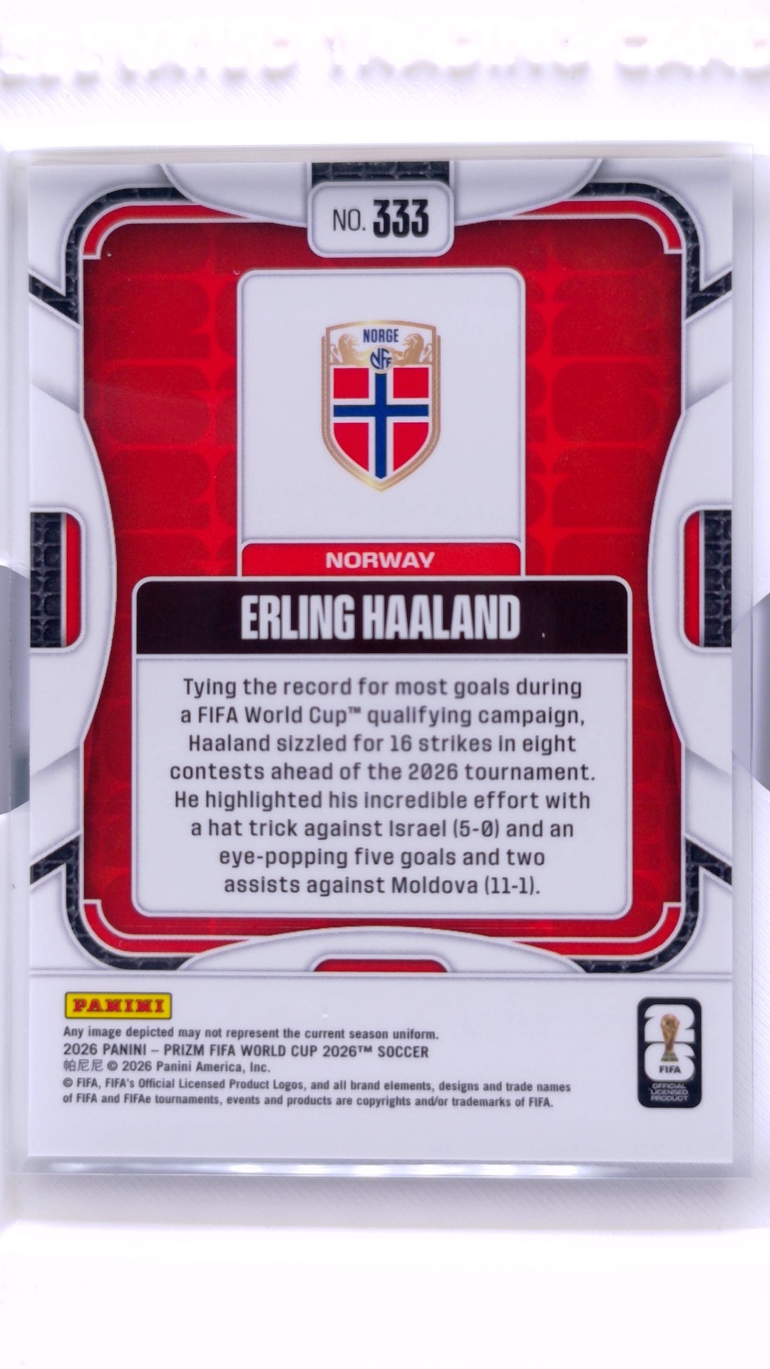 #333 Erling Haaland - back