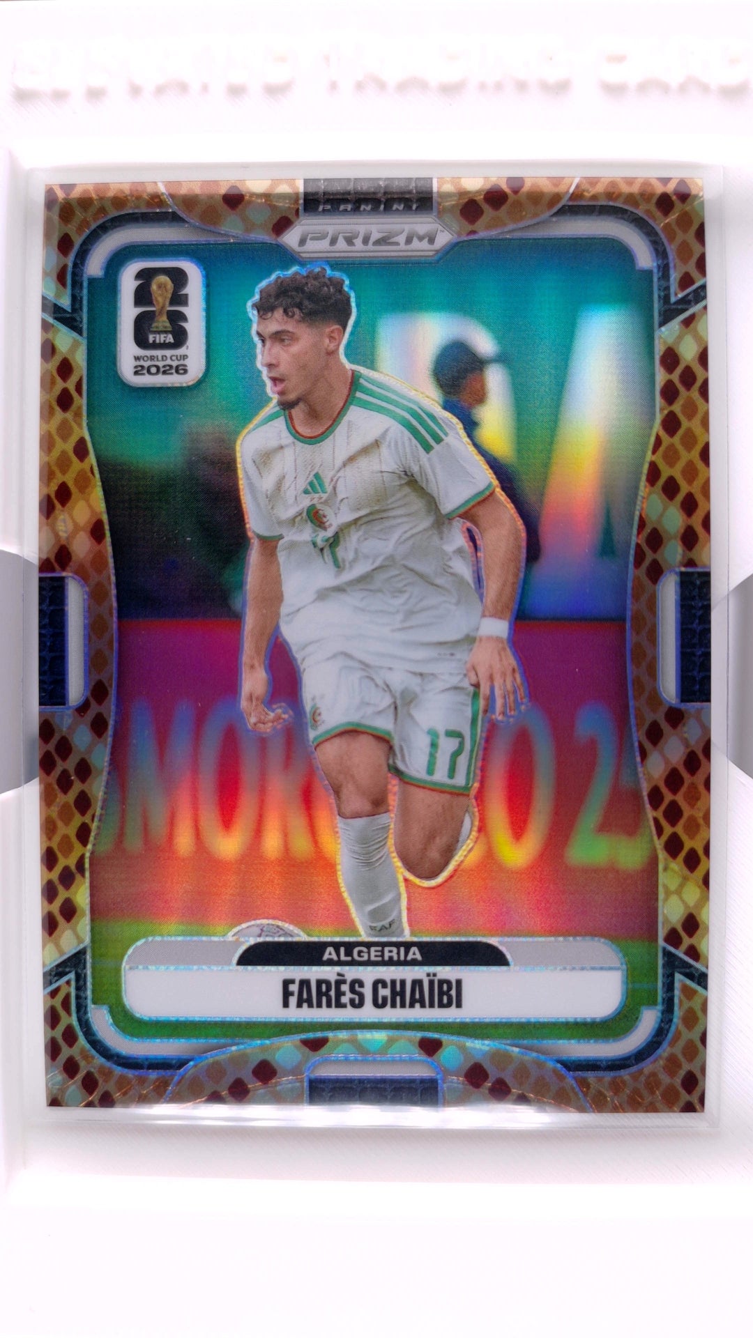 #133 Fares Chaibi Rattlesnake - front
