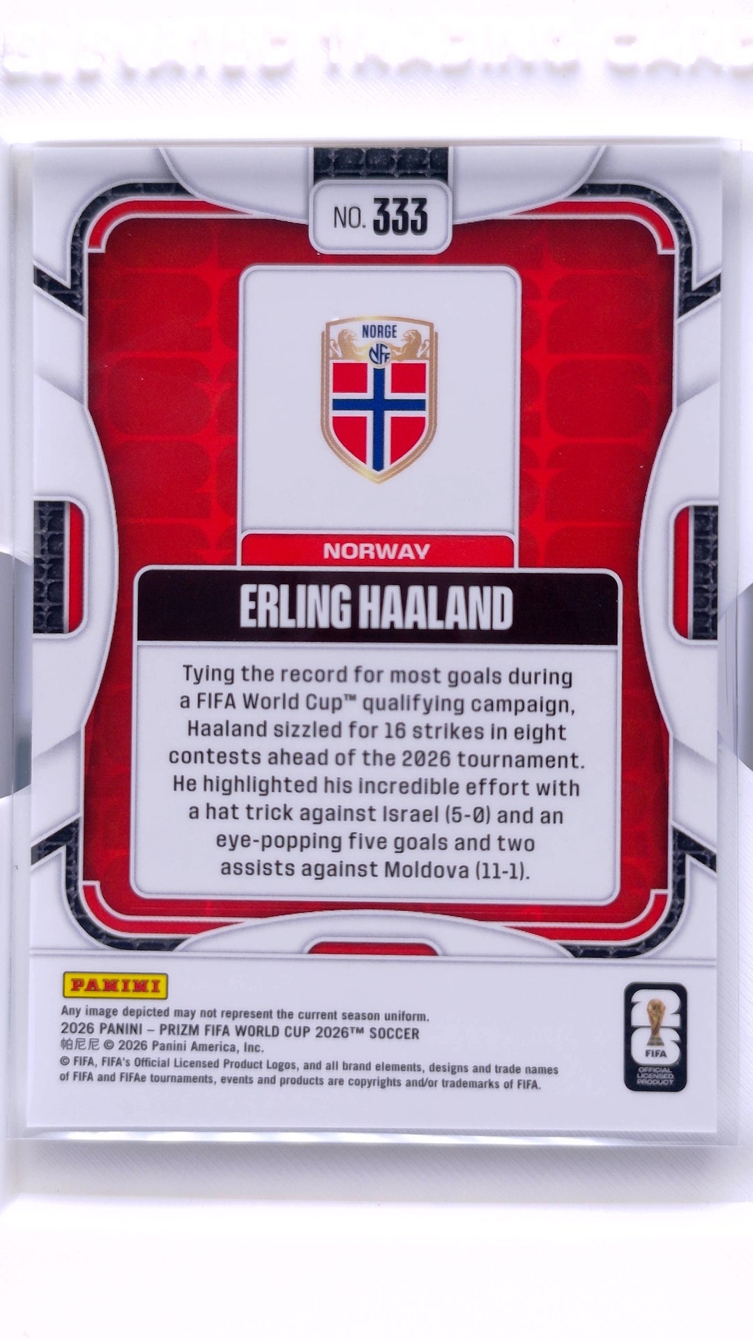 #333 Erling Haaland - back