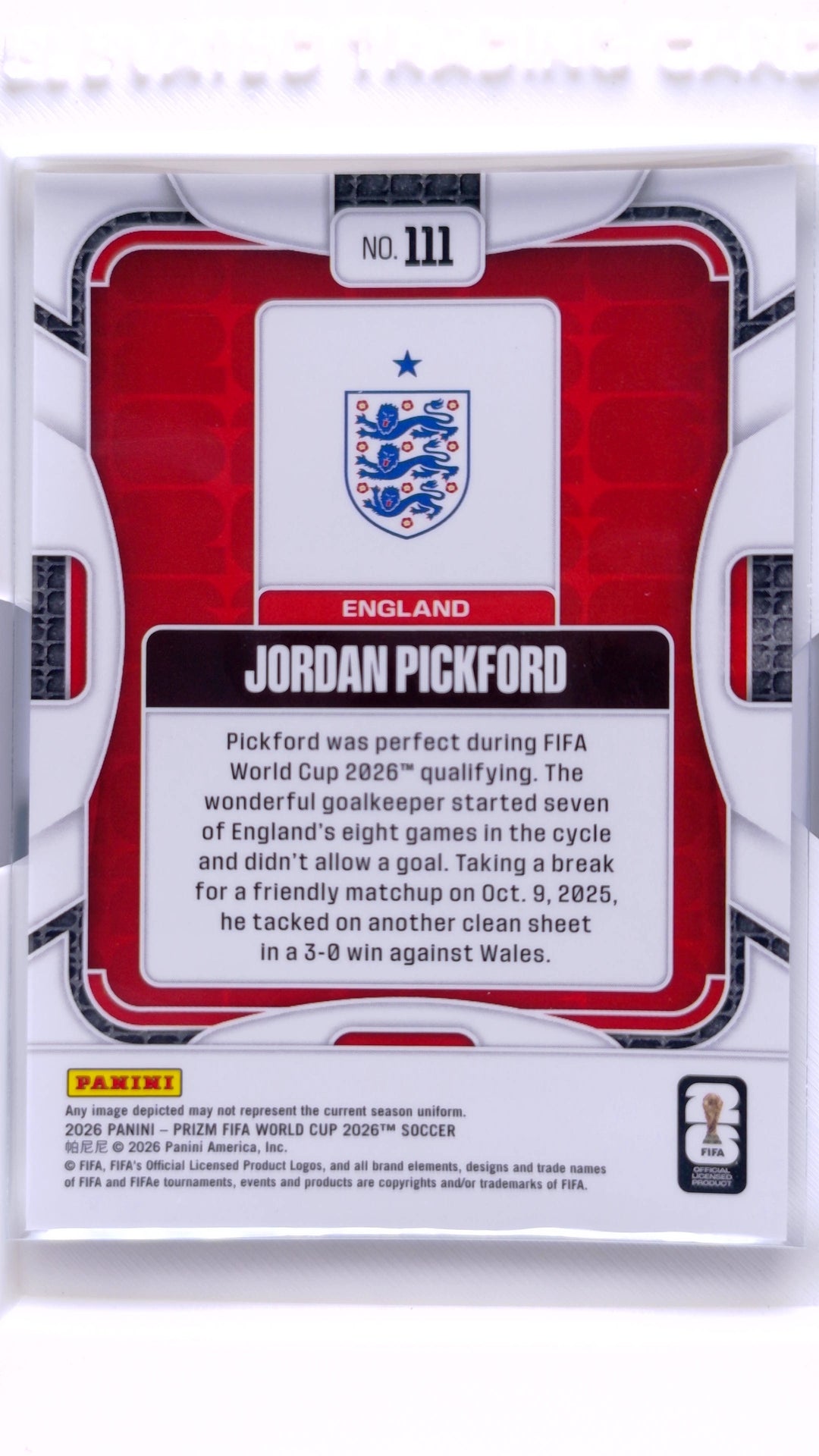 #111 Jordan Pickford - back