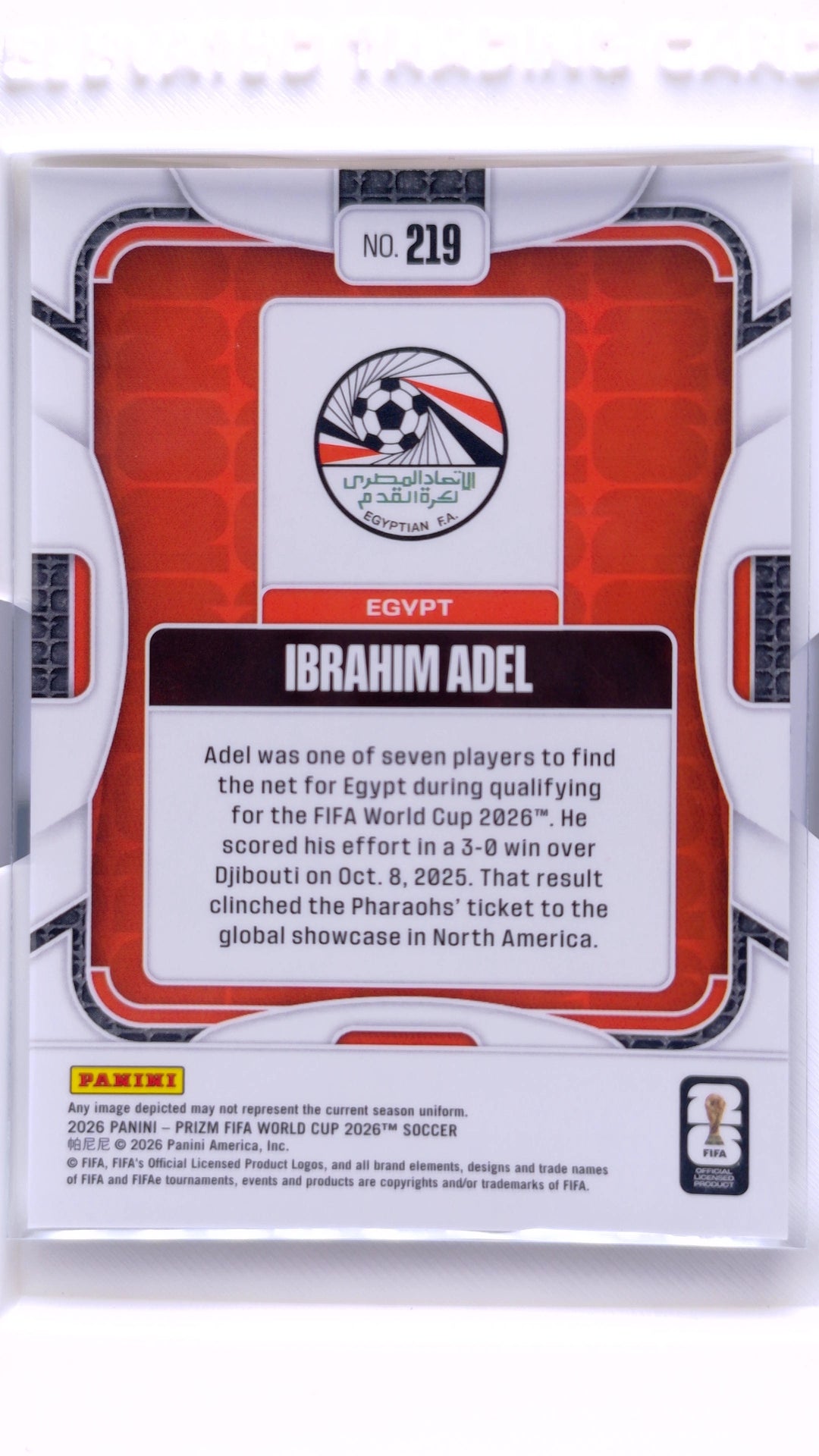 #219 Ibrahim Adel - back