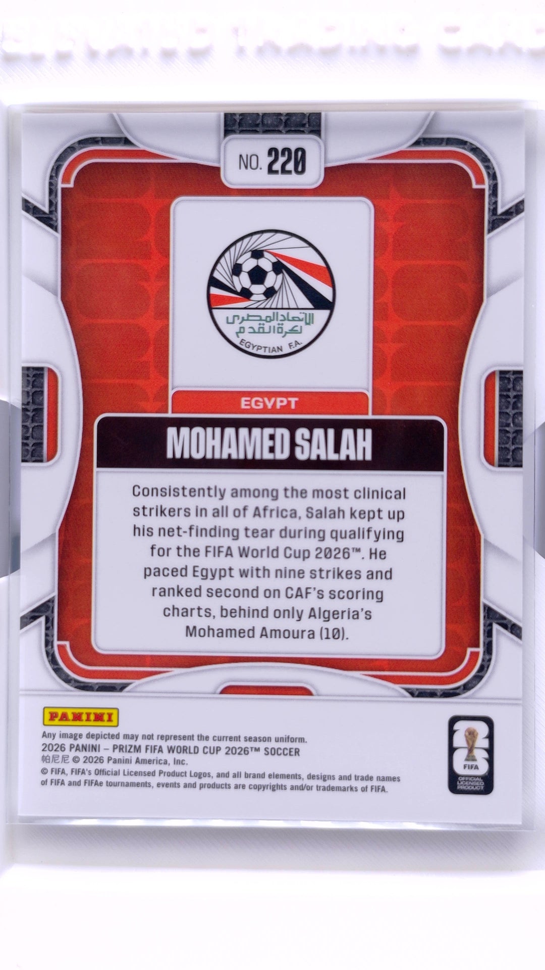 #220 Mohamed Salah - back