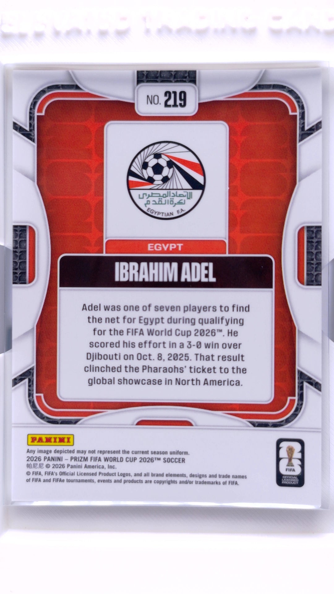 #219 Ibrahim Adel - back