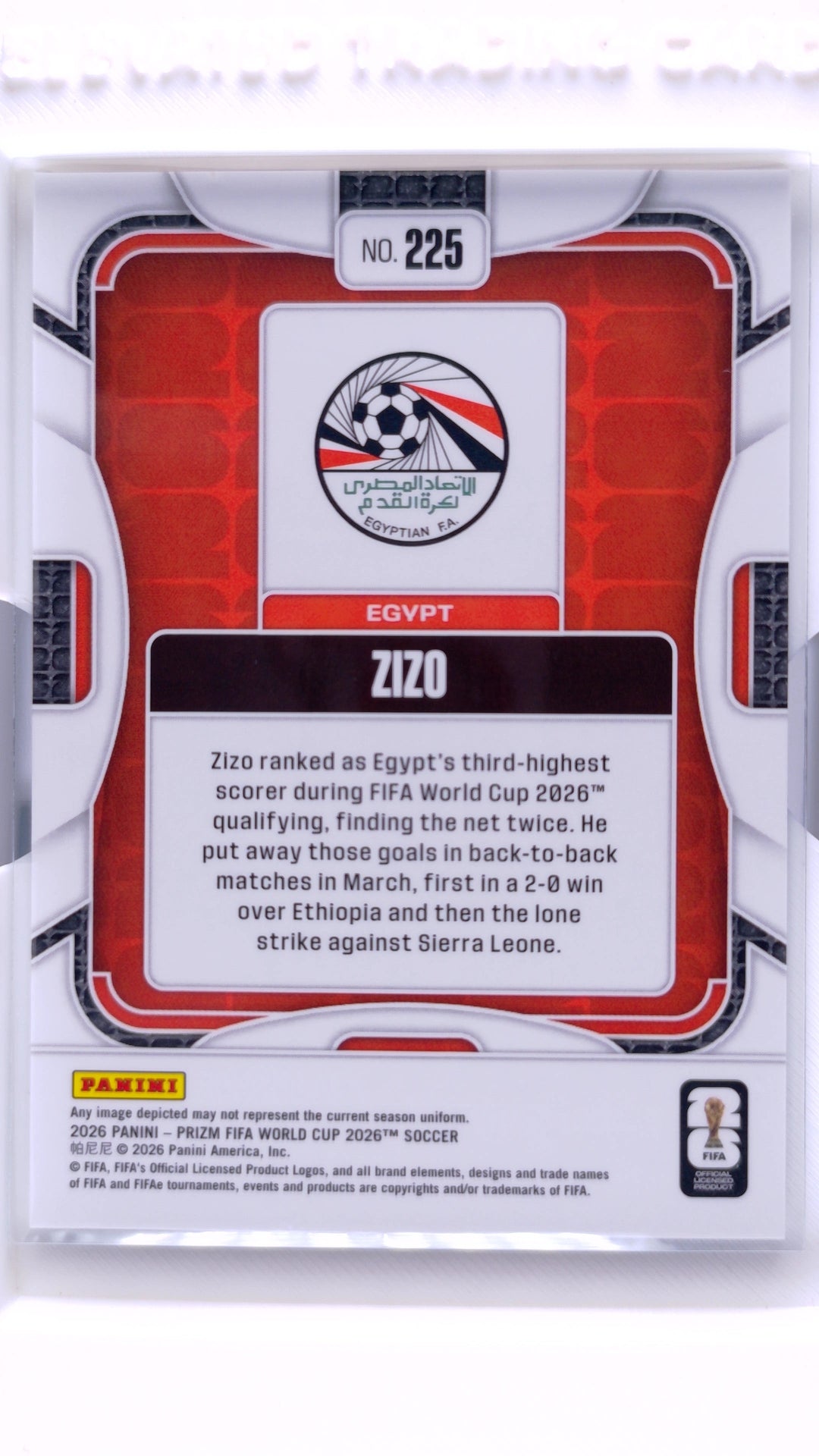 #225 Zizo - back