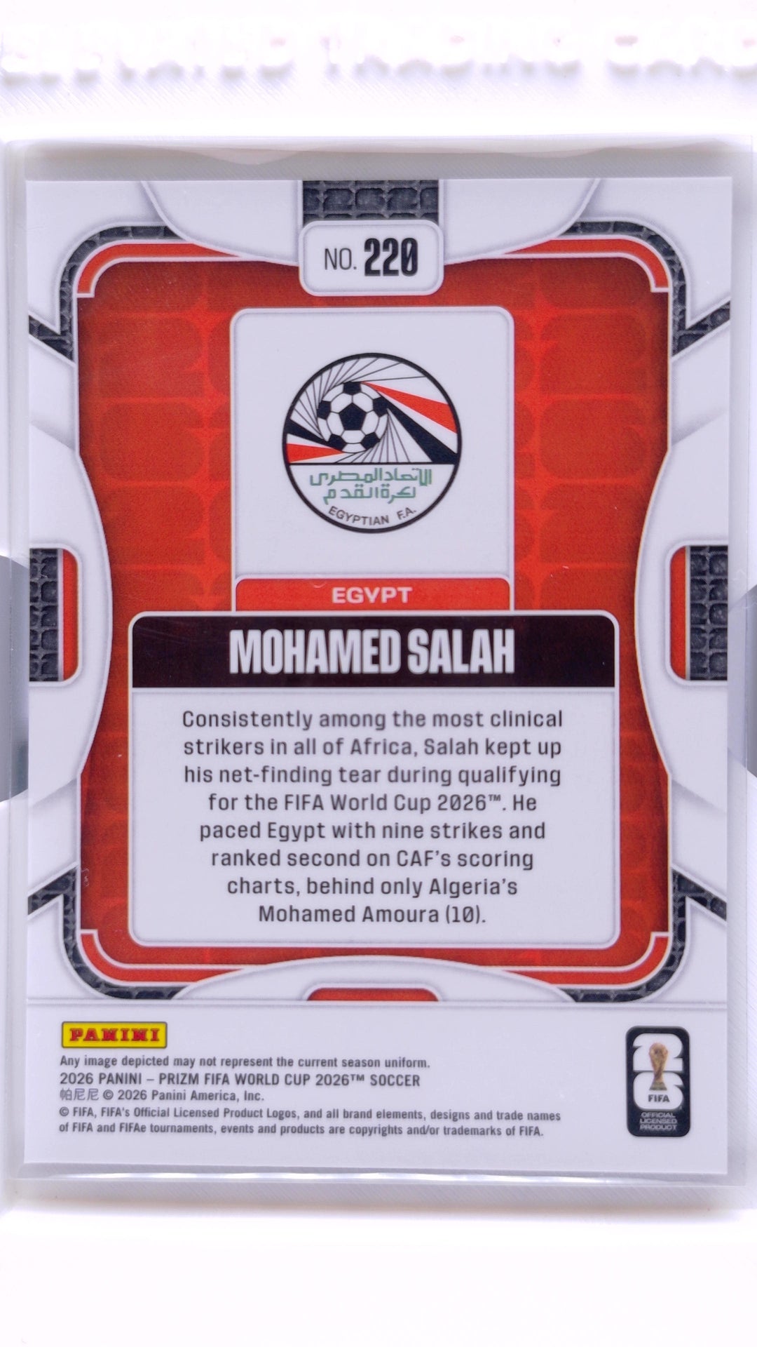 #220 Mohamed Salah - back