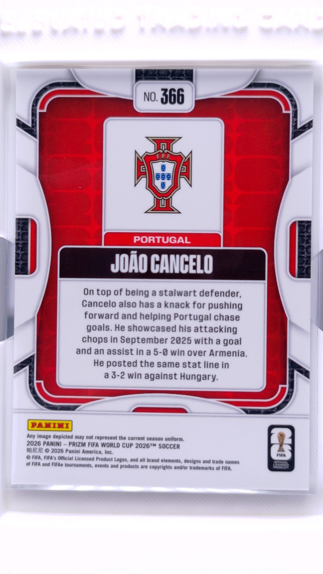 #366 Joao Cancelo - back