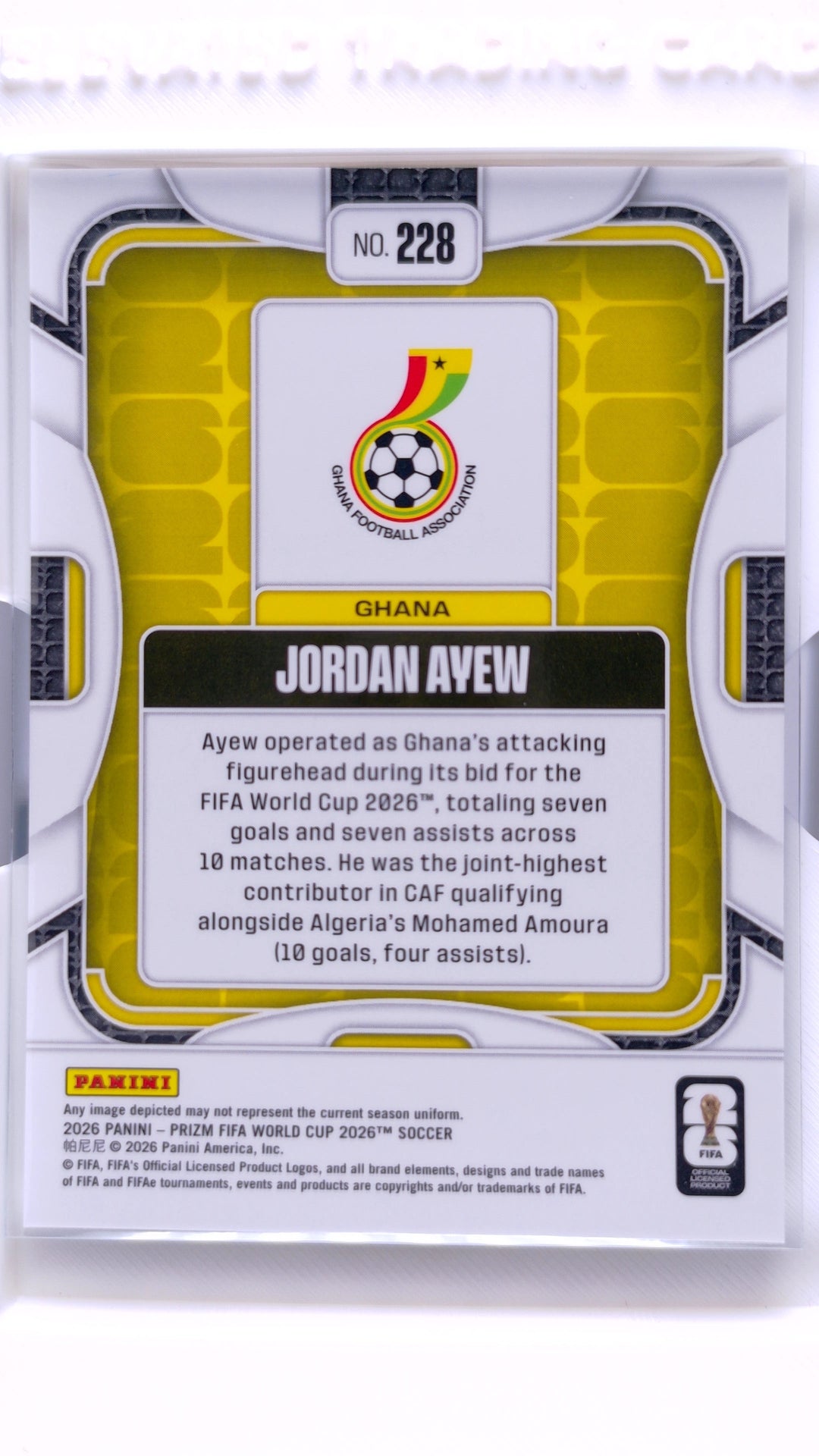 #228 Jordan Ayew - back