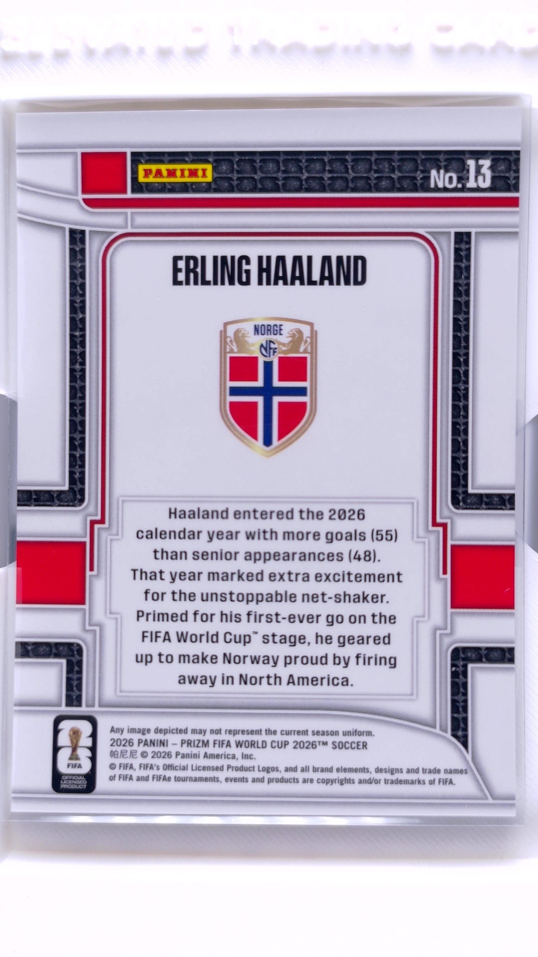 #13 Erling Haaland Scorers Club - back