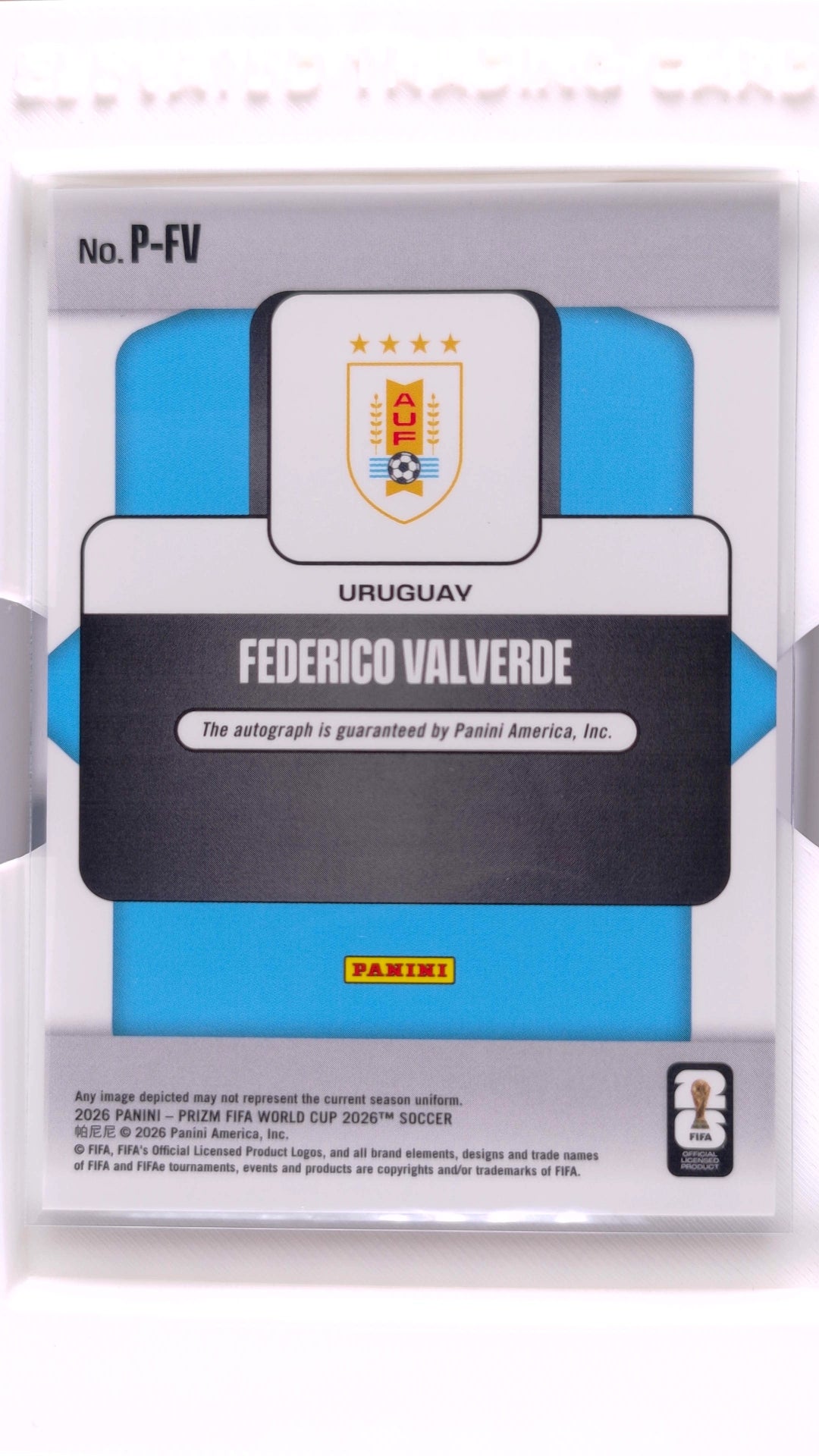 #10 Federico Valverde Penmanship - back