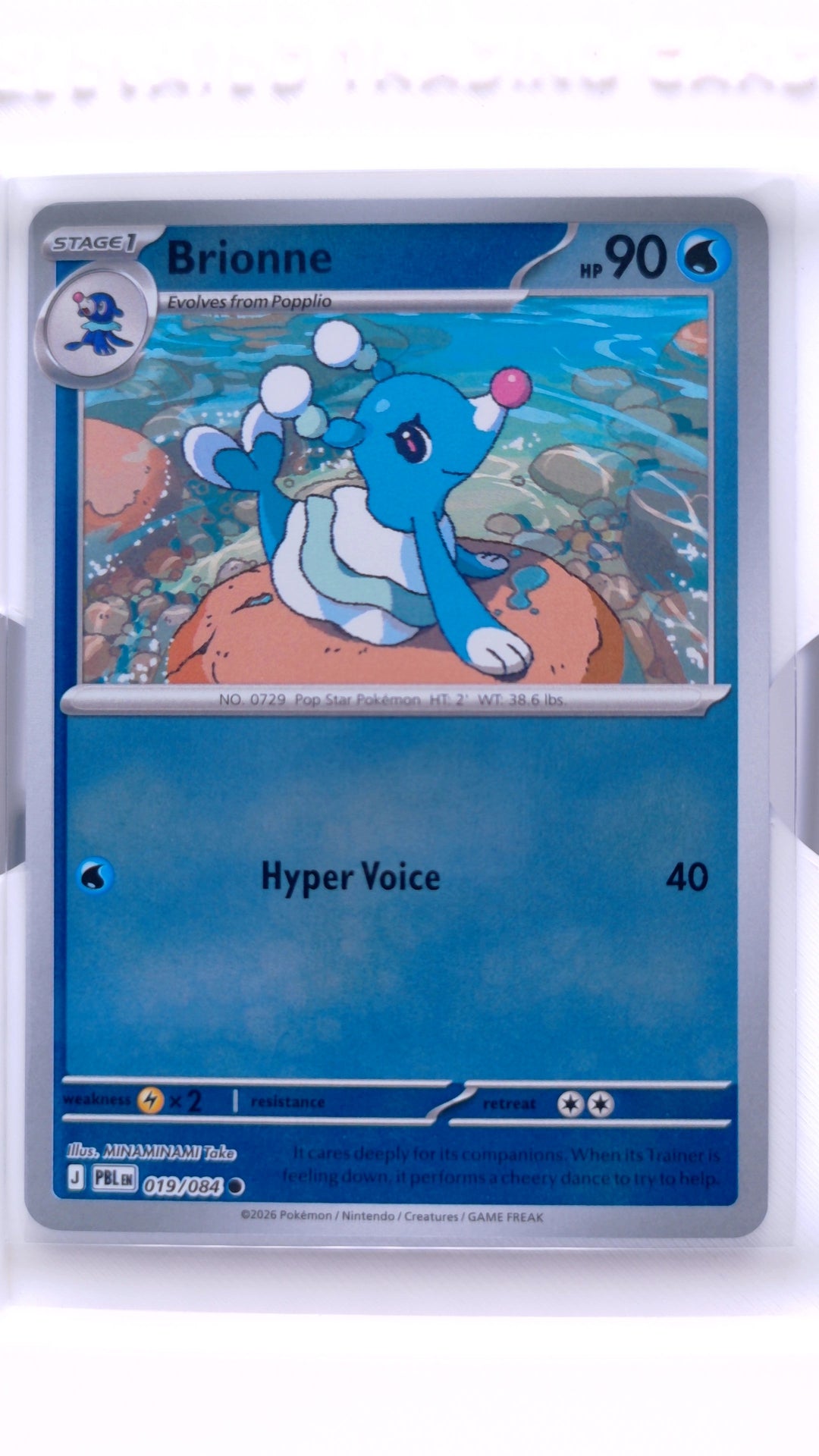 #19 Brionne Reverse Holo Common - front