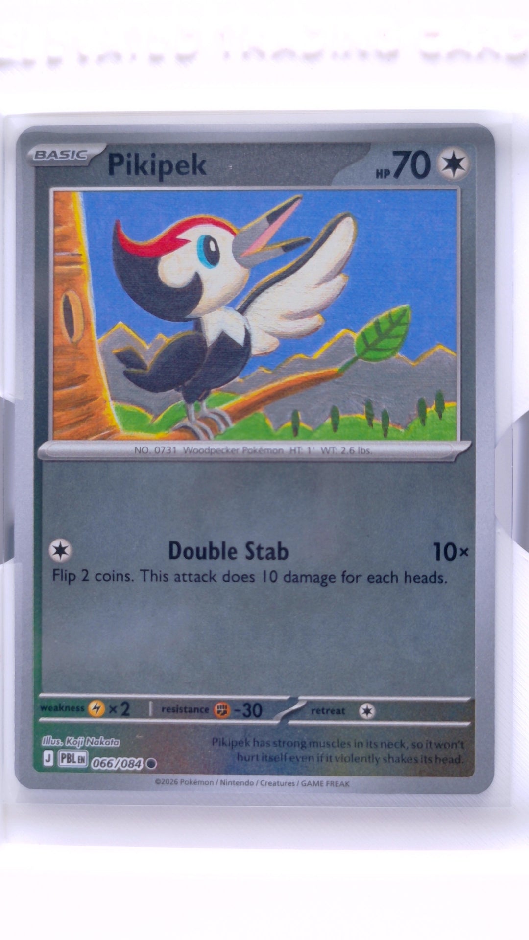 #66 Pikipek Reverse Holo Common - front