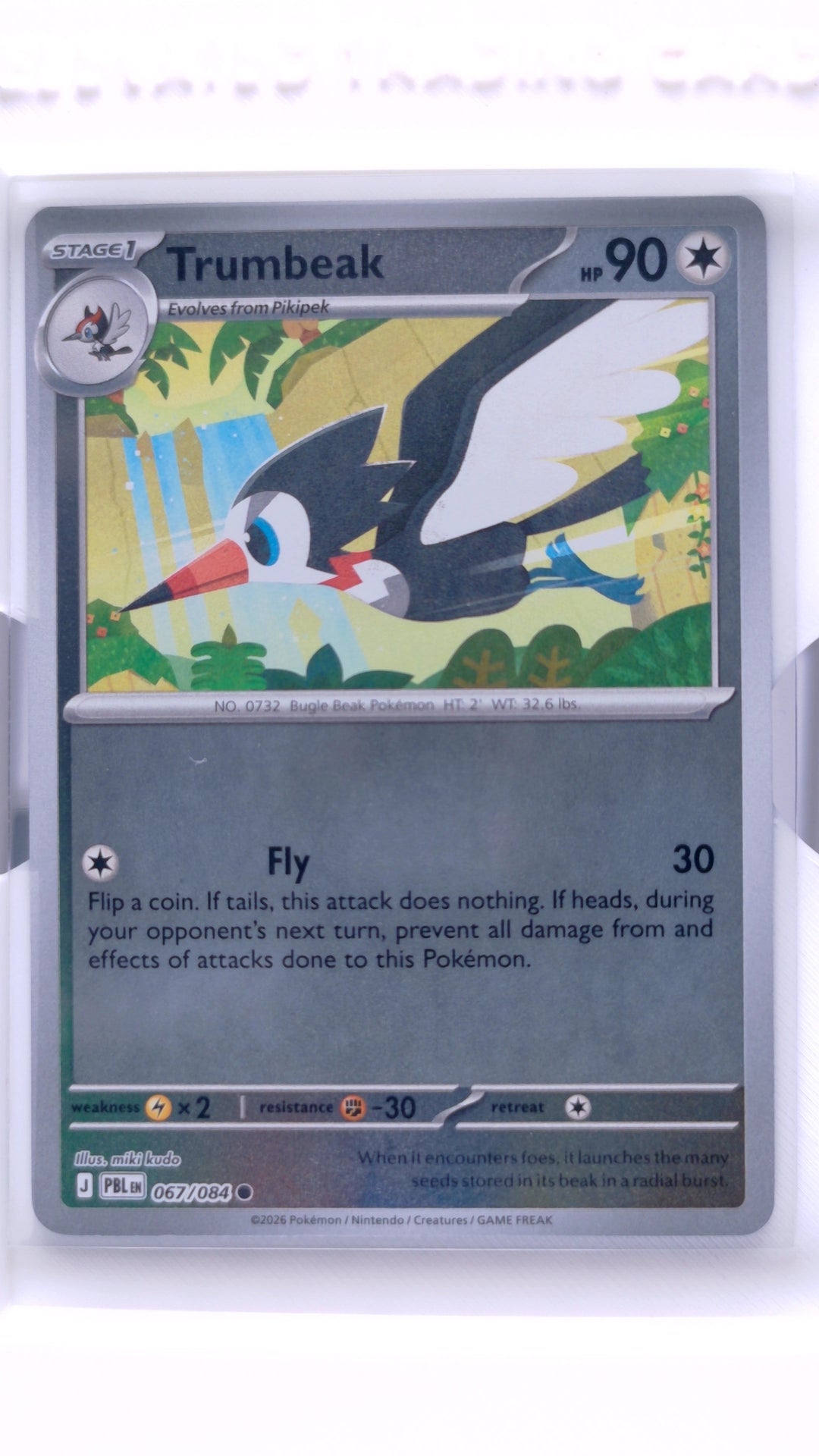 #67 Trumbeak Reverse Holo Common - front