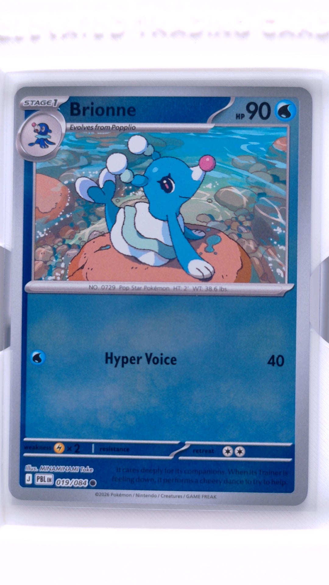 #19 Brionne Reverse Holo Common - front