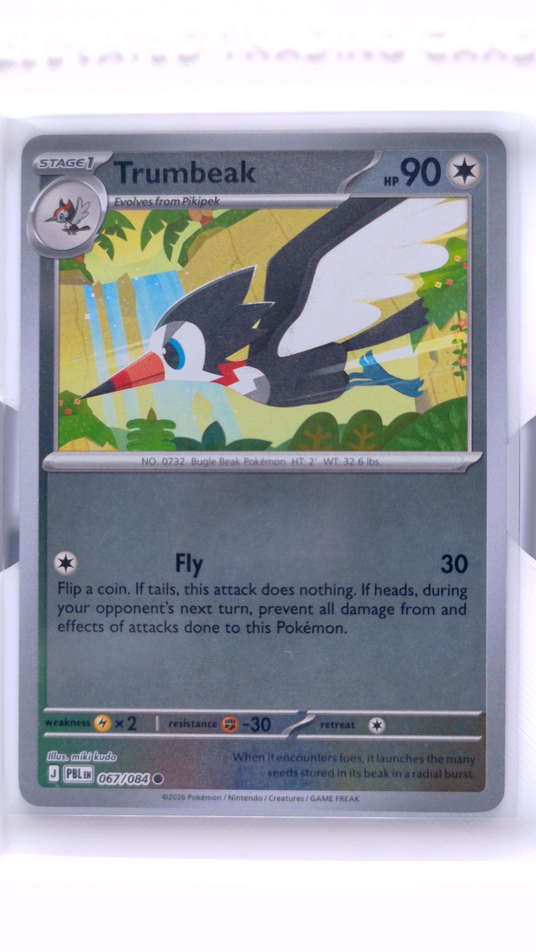 #67 Trumbeak Reverse Holo Common - front