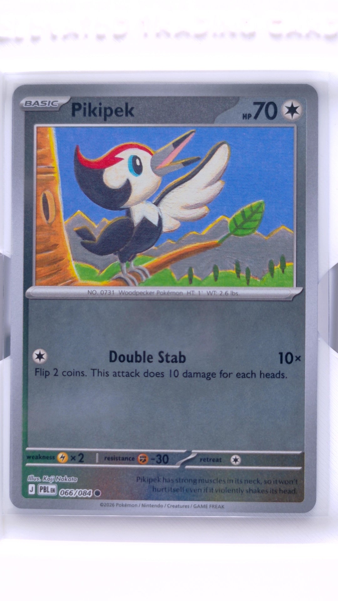 #66 Pikipek Reverse Holo Common - front