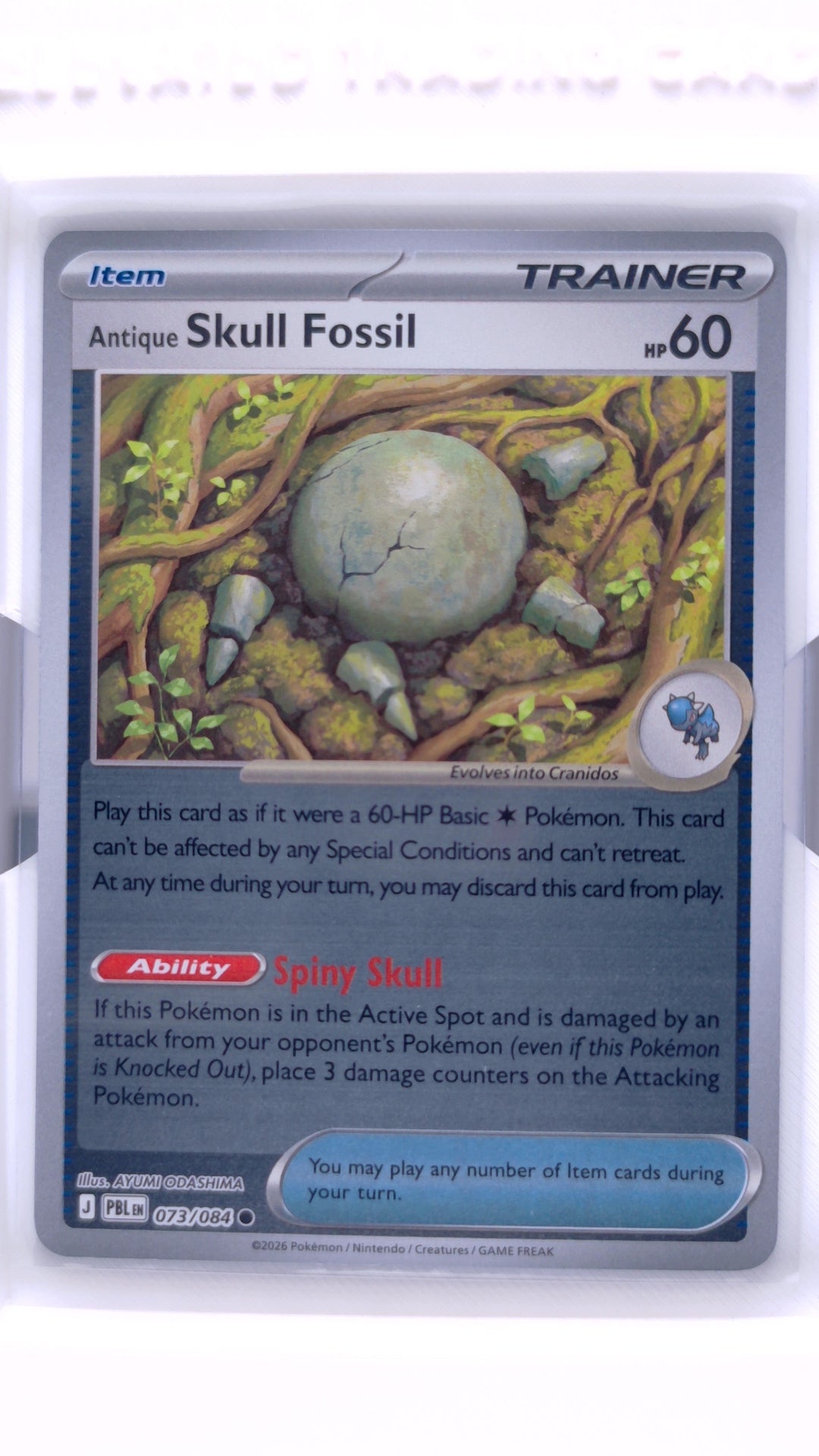 #73 Antique Skull Fossil Reverse Holo Common - front