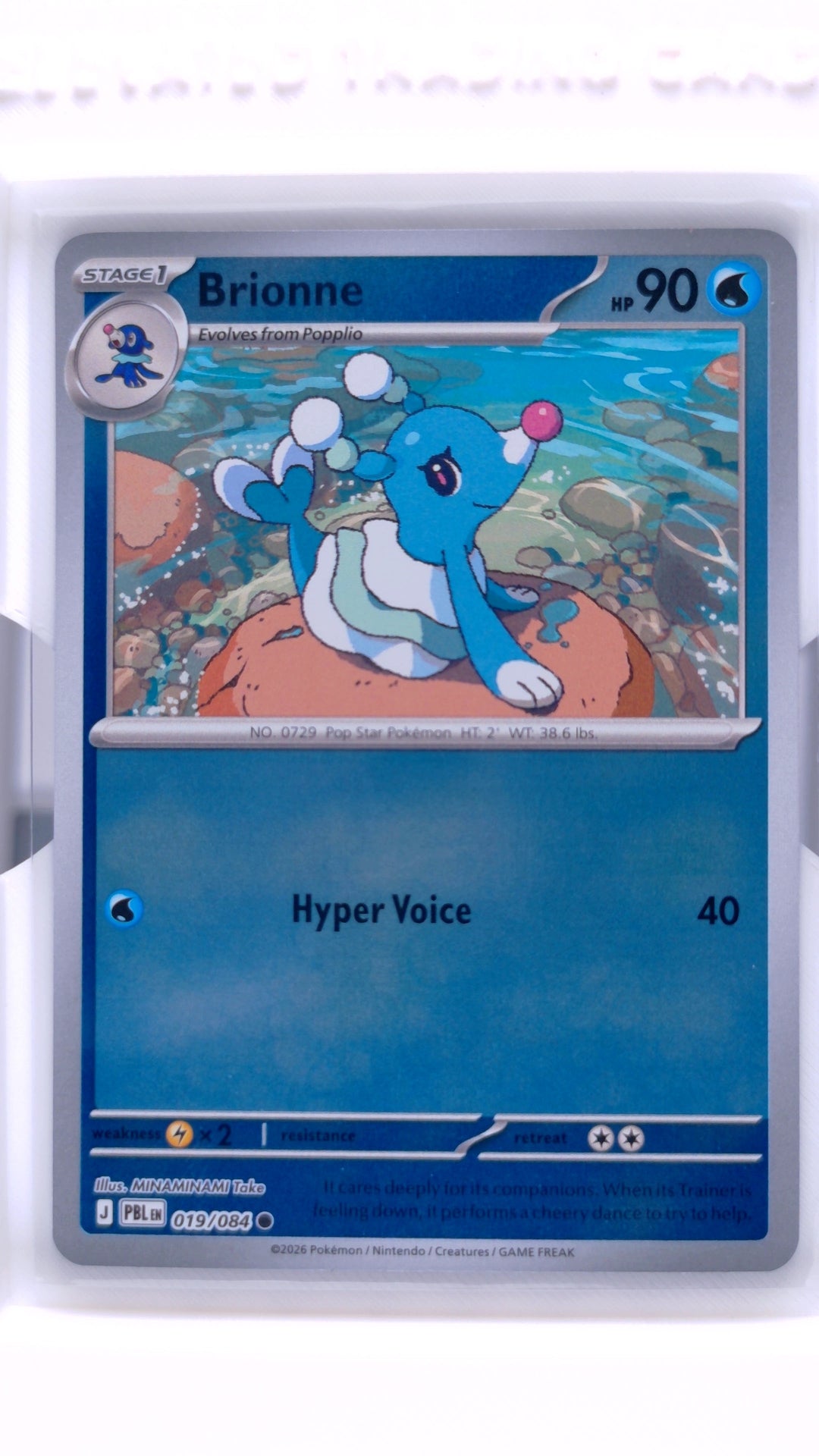 #19 Brionne Reverse Holo Common - front