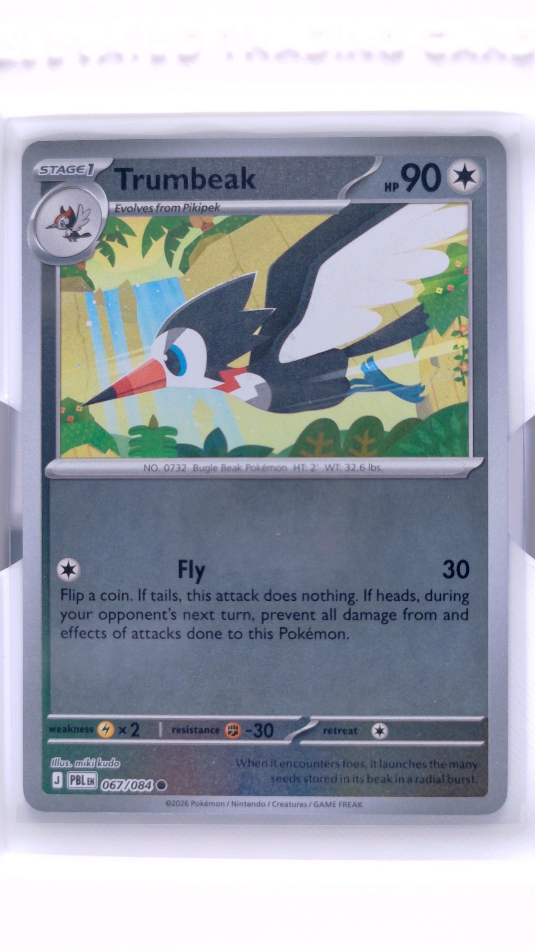 #67 Trumbeak Reverse Holo Common - front