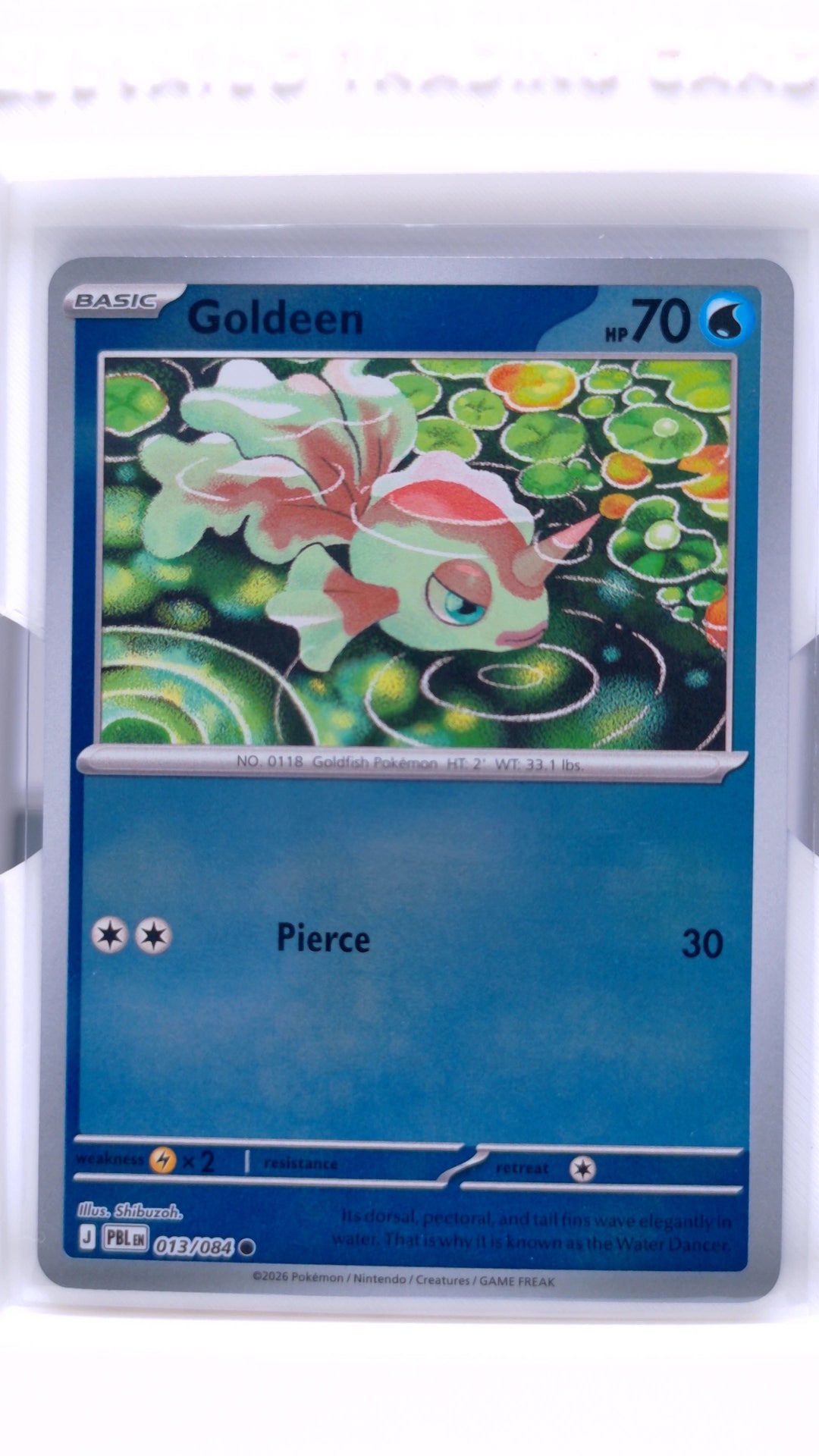 #13 Goldeen Reverse Holo Common - front