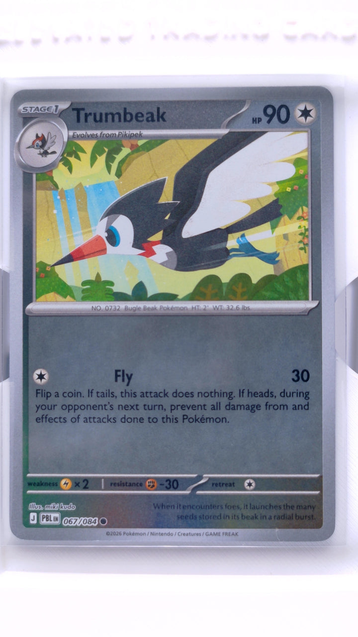 Pokémon TCG: Mega Evolution — Pitch Black Trumbeak #067/084 Common Reverse Holo — Front