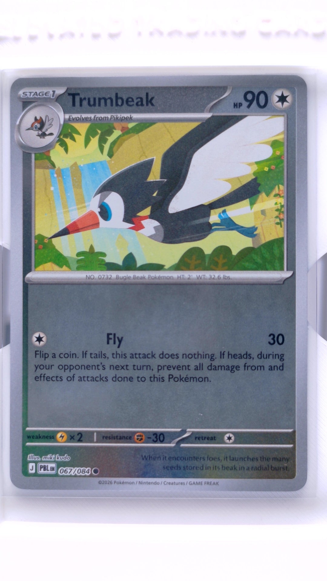 #67 Trumbeak Reverse Holo Common - front