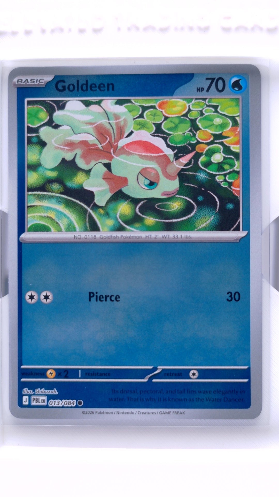 #13 Goldeen Reverse Holo Common - front