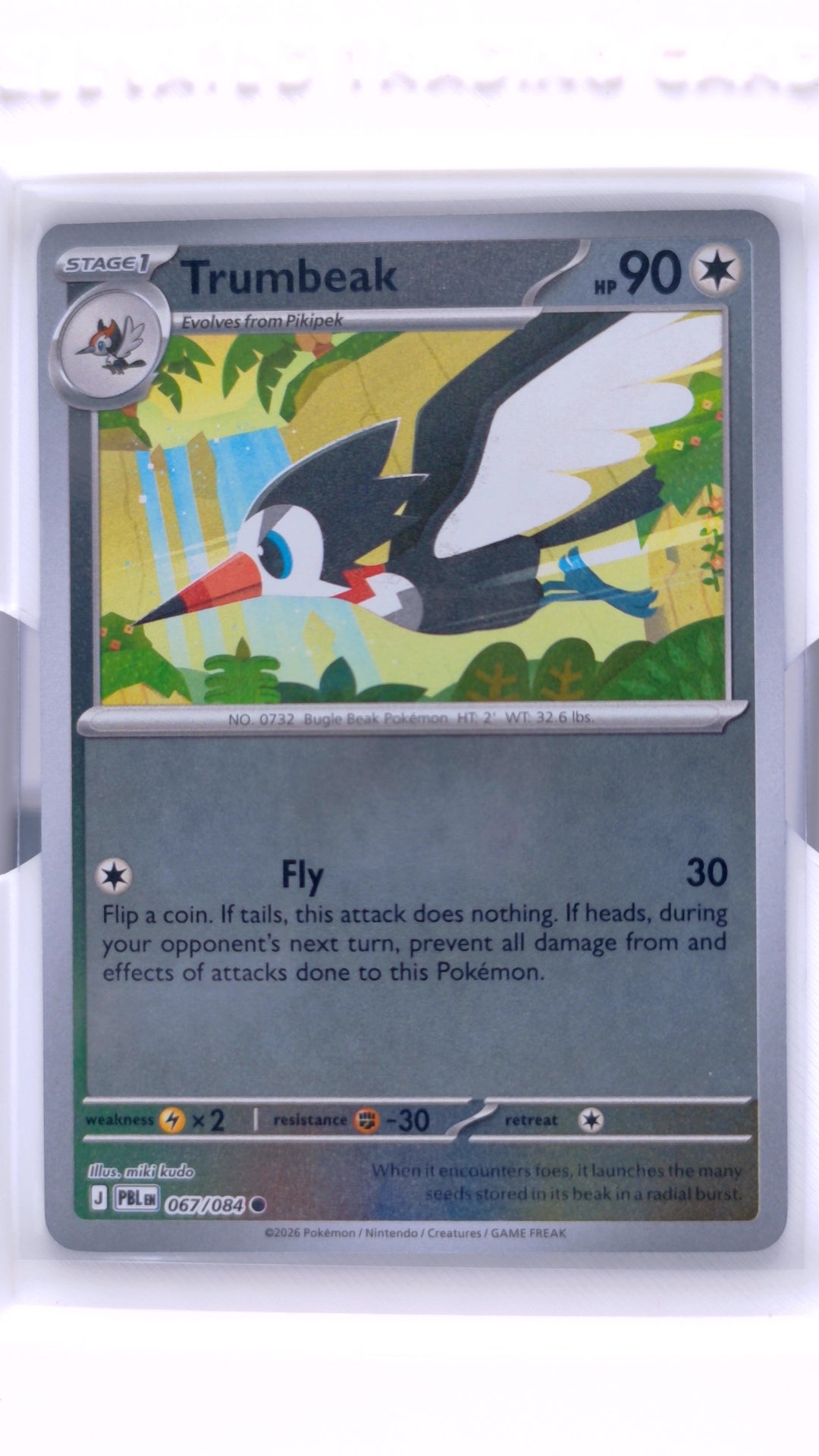 #67 Trumbeak Reverse Holo Common - front