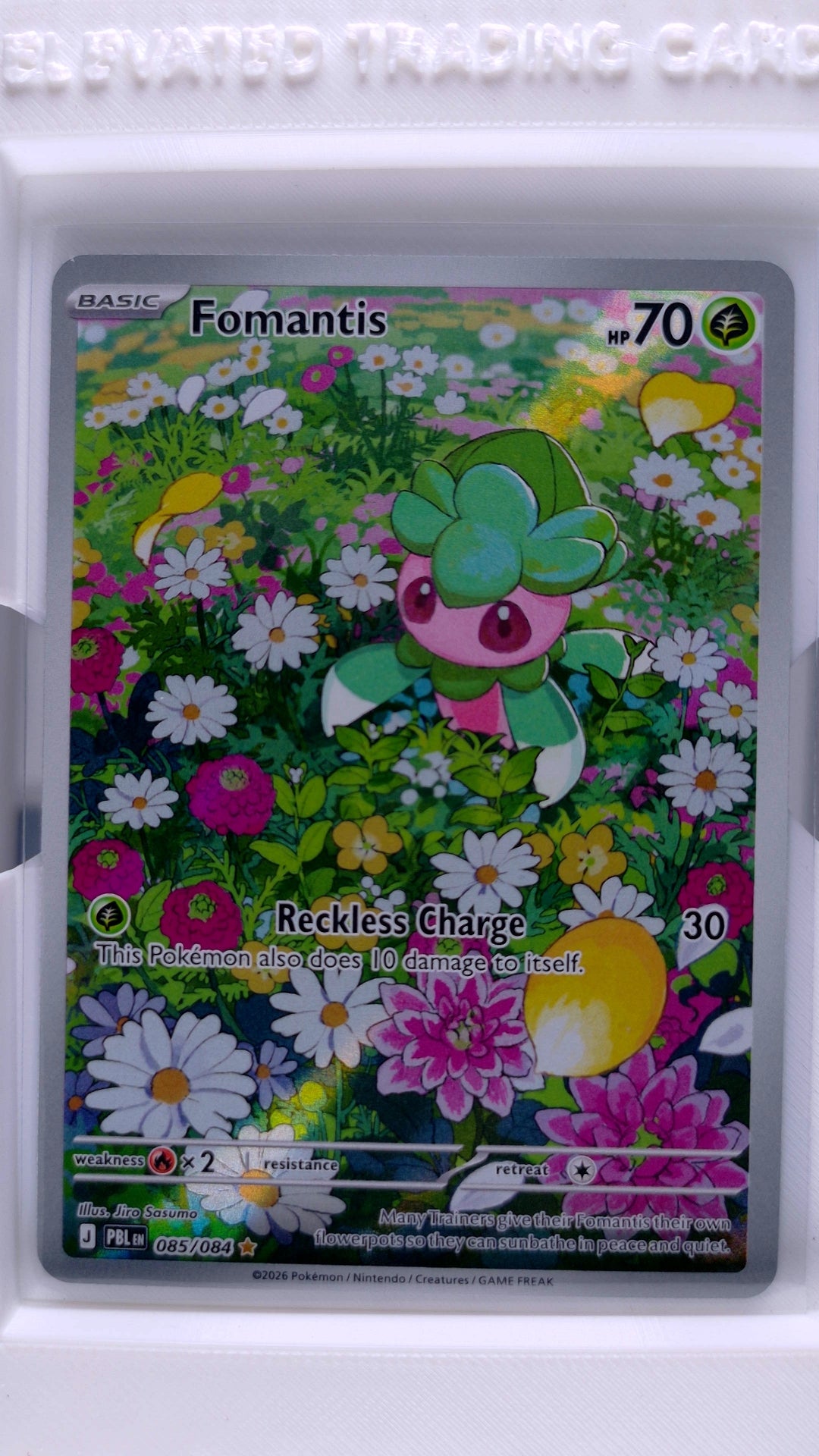 #85 Fomantis Illustration Rare - front