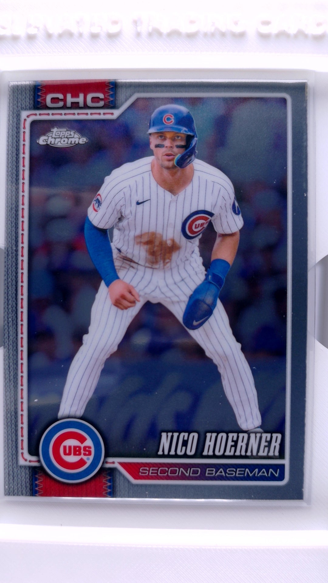 #29 Nico Hoerner - front