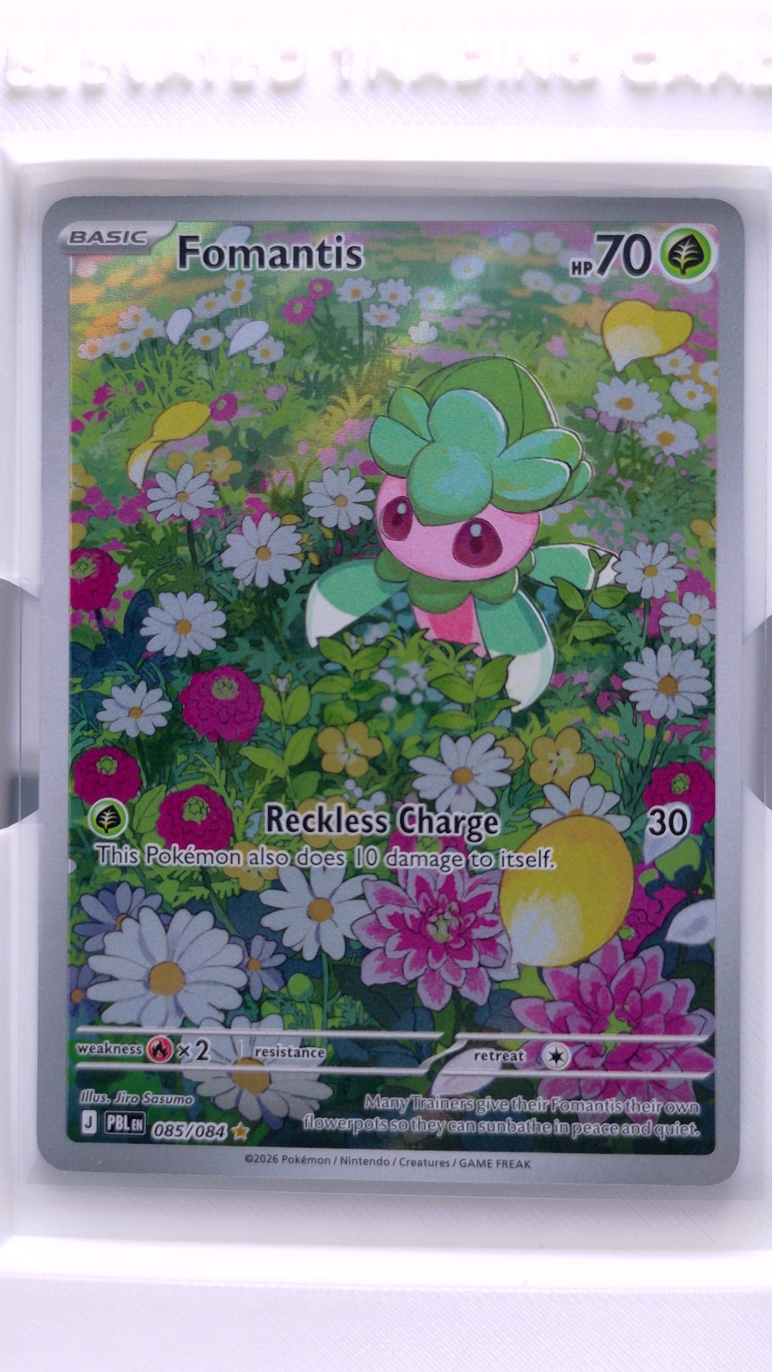 #85 Fomantis Illustration Rare - front