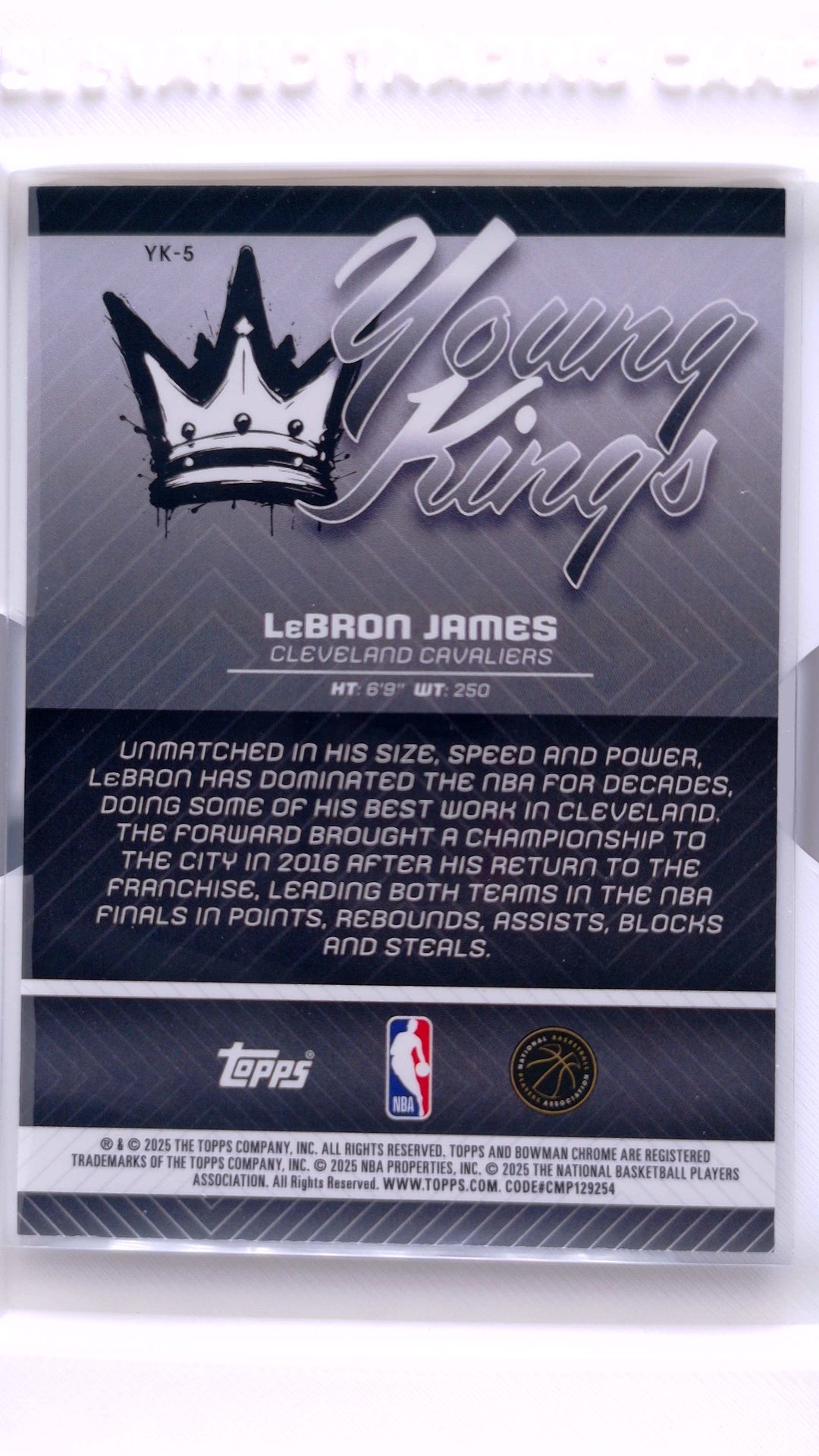 #YK-5 LeBron James Young Kings - back