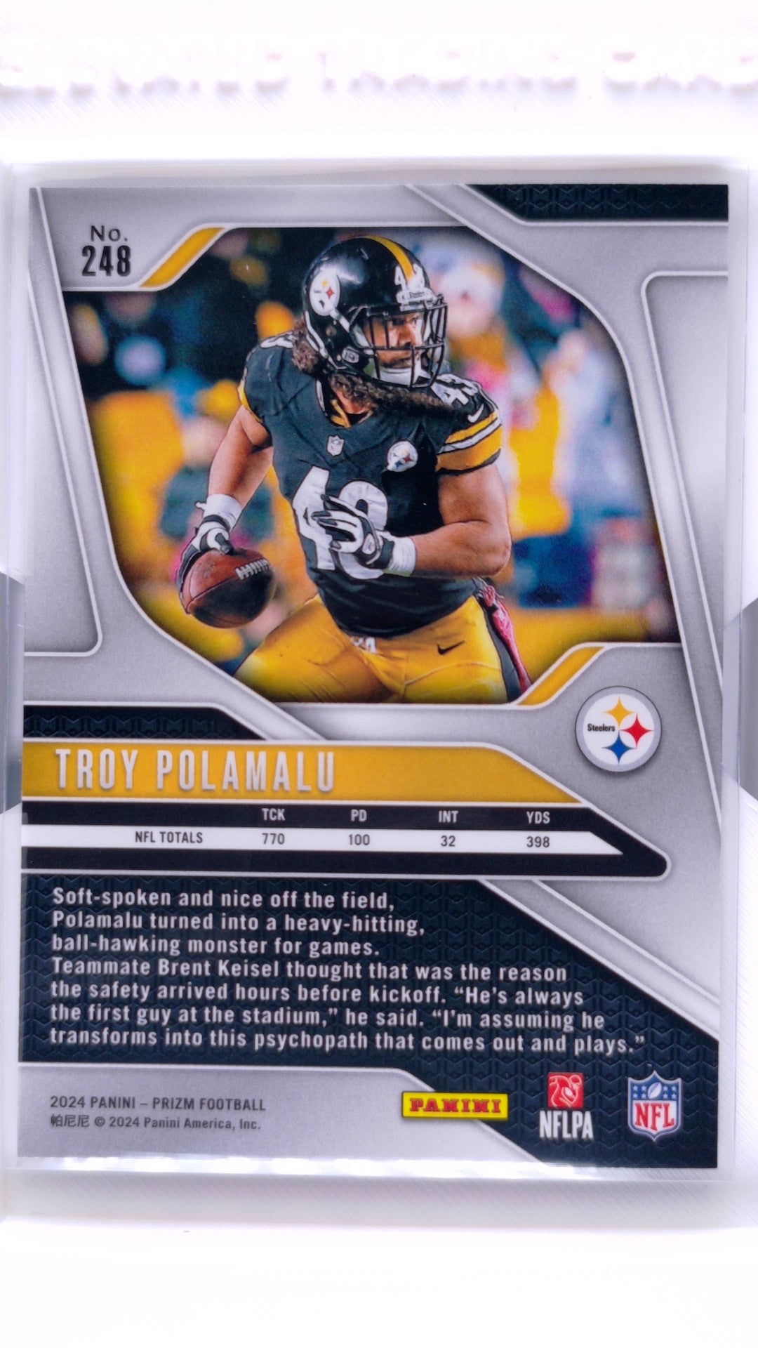#248 Troy Polamalu - back