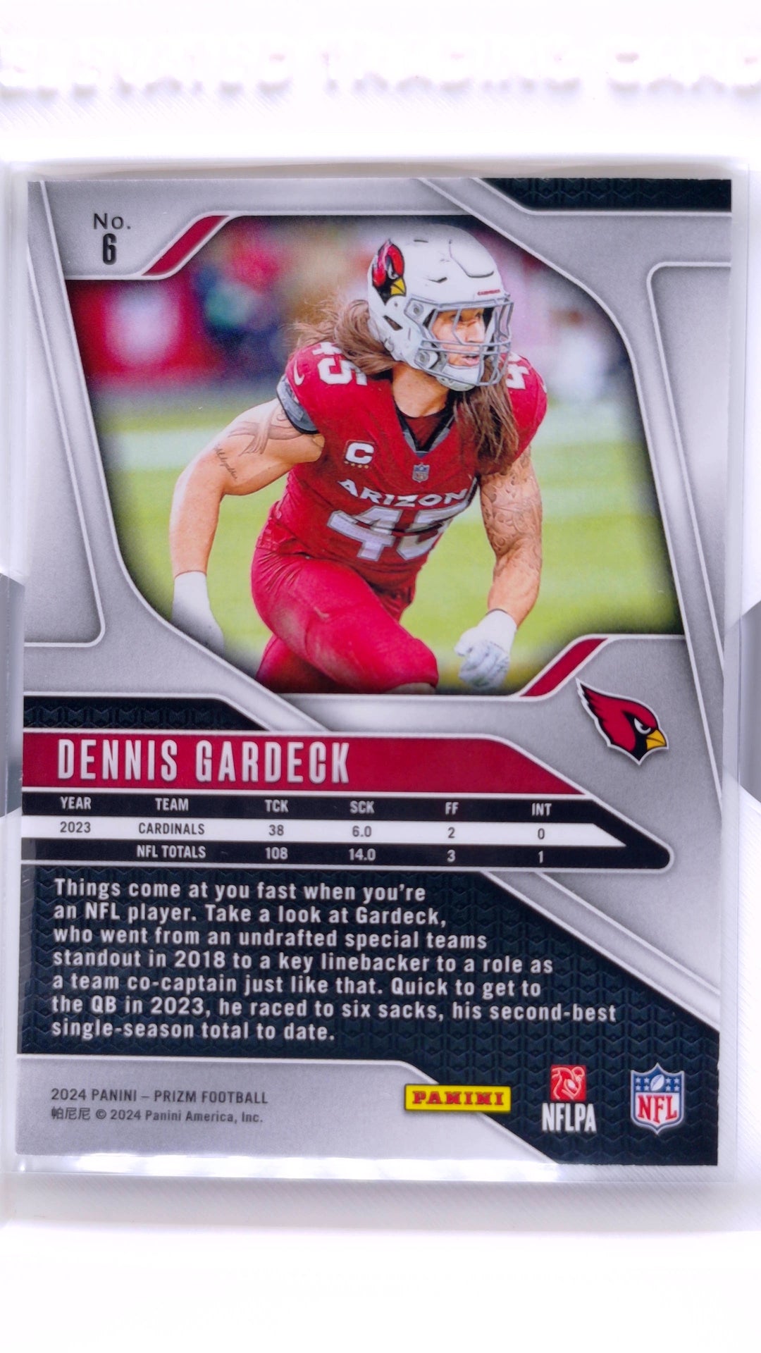 #6 Dennis Gardeck - back
